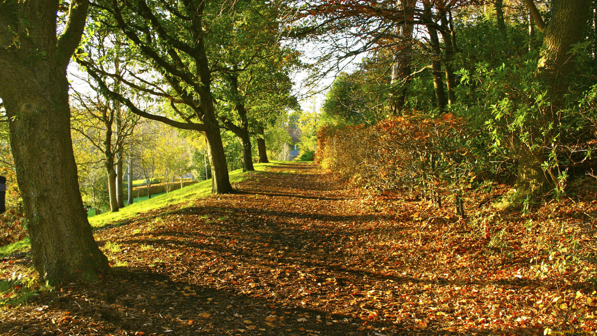природа, дороги, тракт