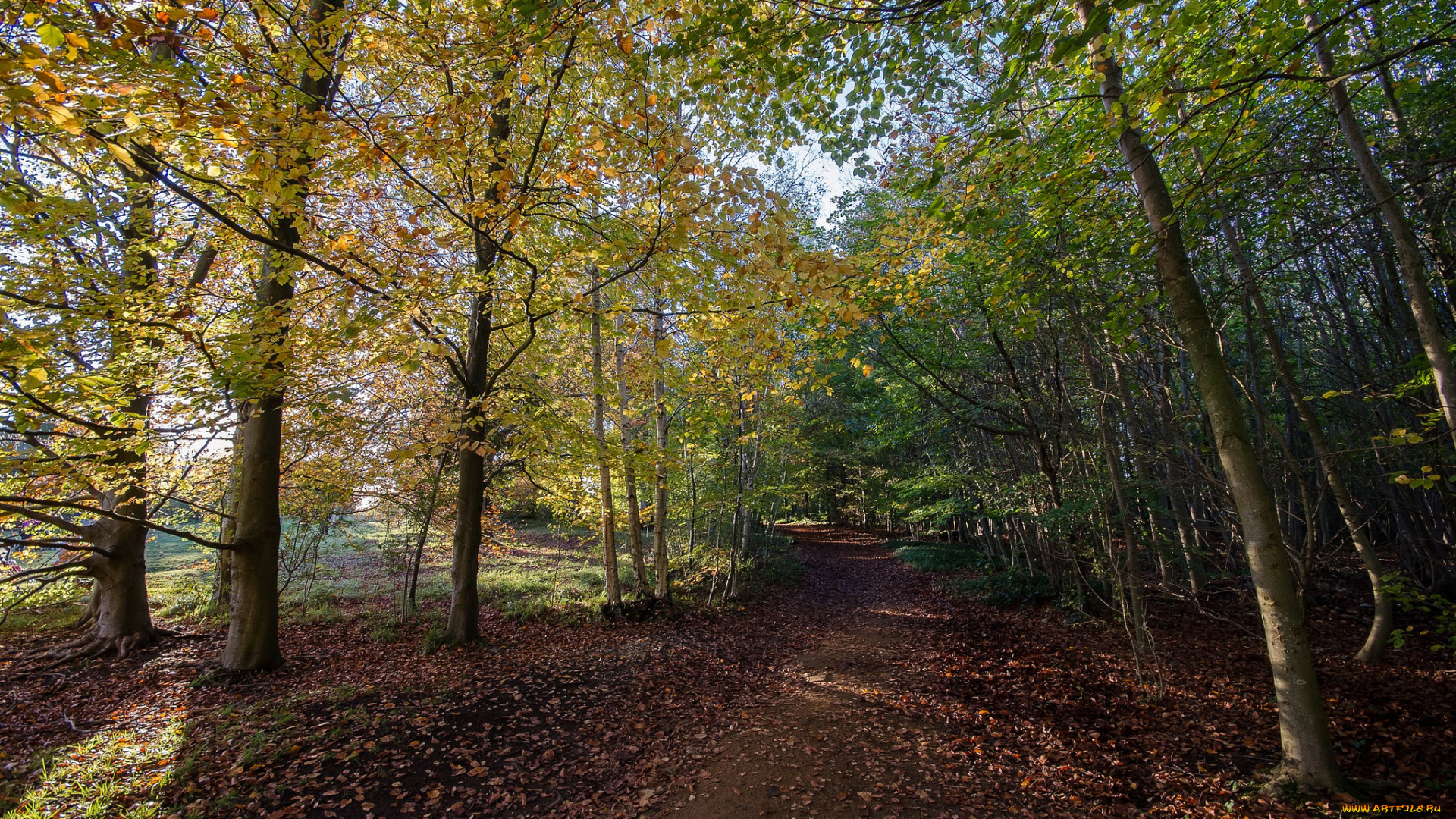 природа, дороги, тракт