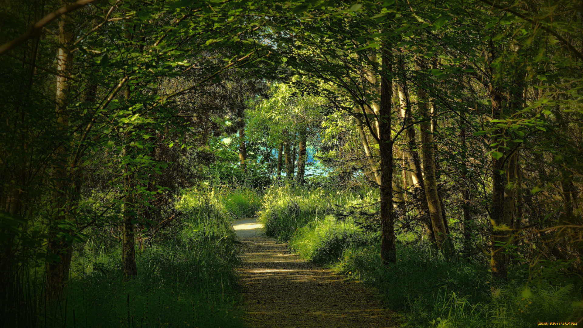 природа, дороги, тракт