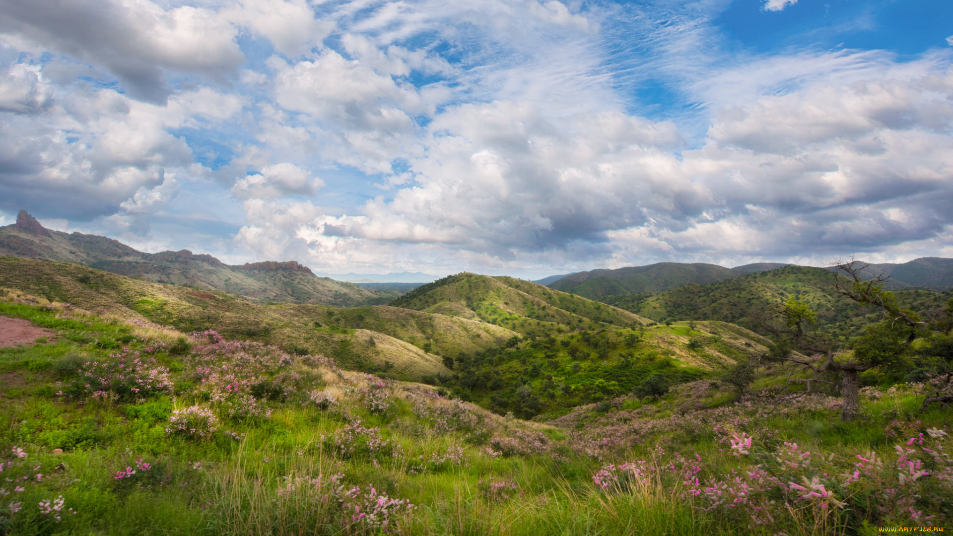 природа, пейзажи, простор
