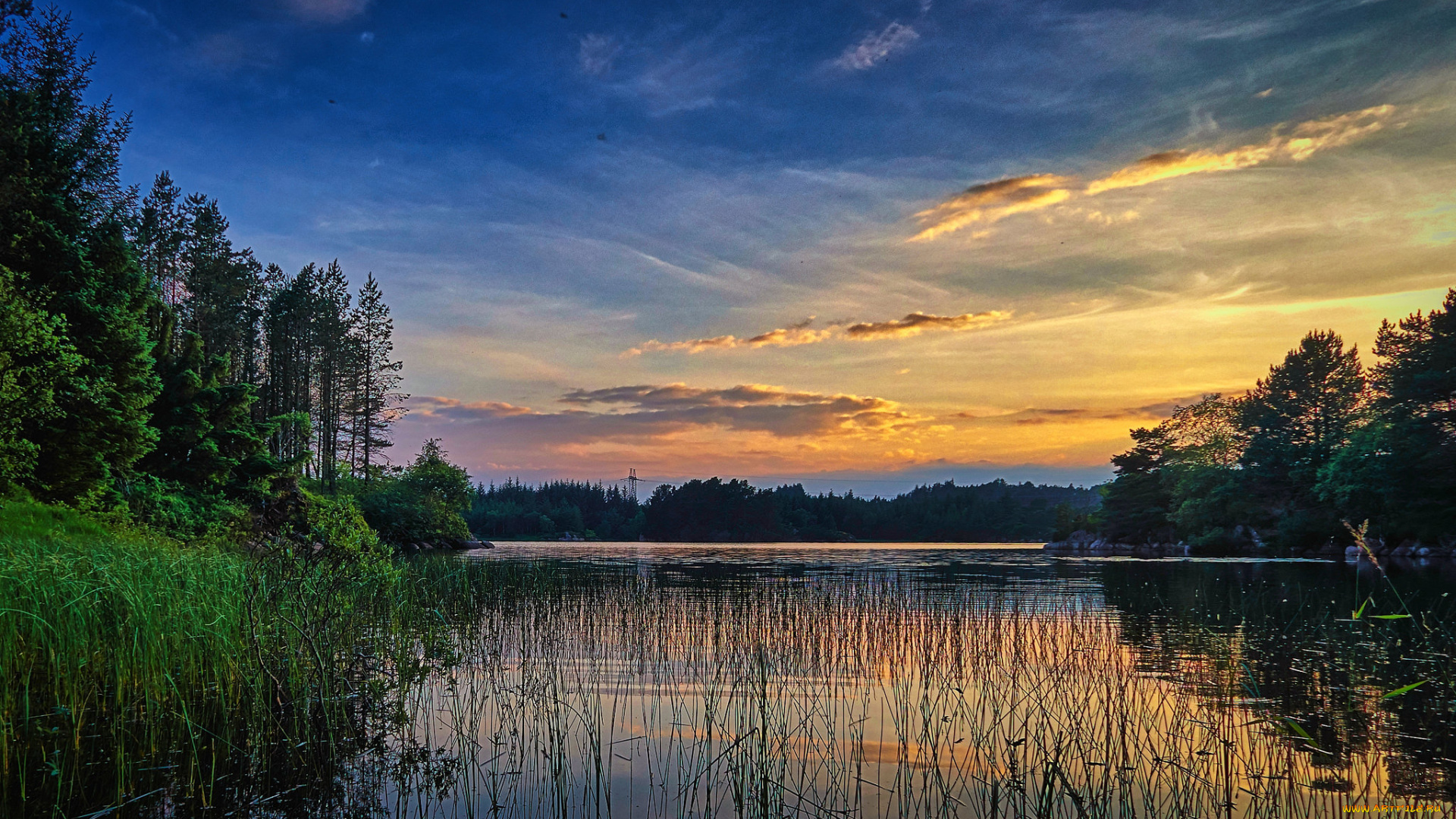 природа, реки, озера, рассвет