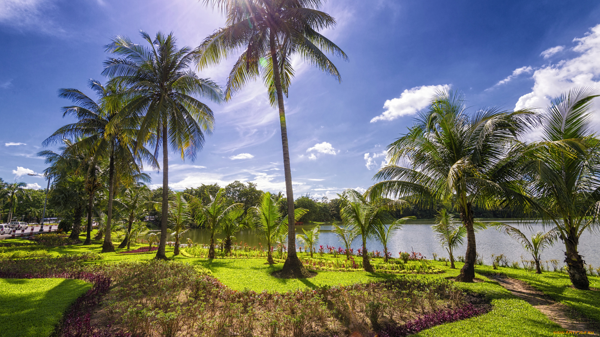 природа, тропики, курорт