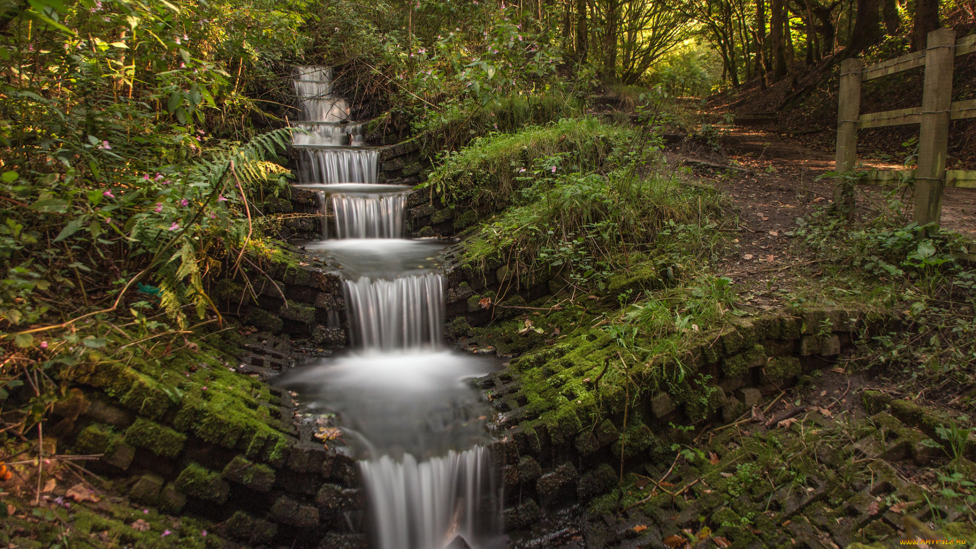 природа, водопады, водопад, река, лес