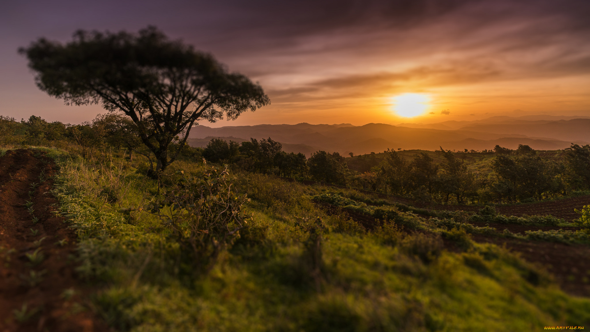 природа, восходы, закаты, рассвет