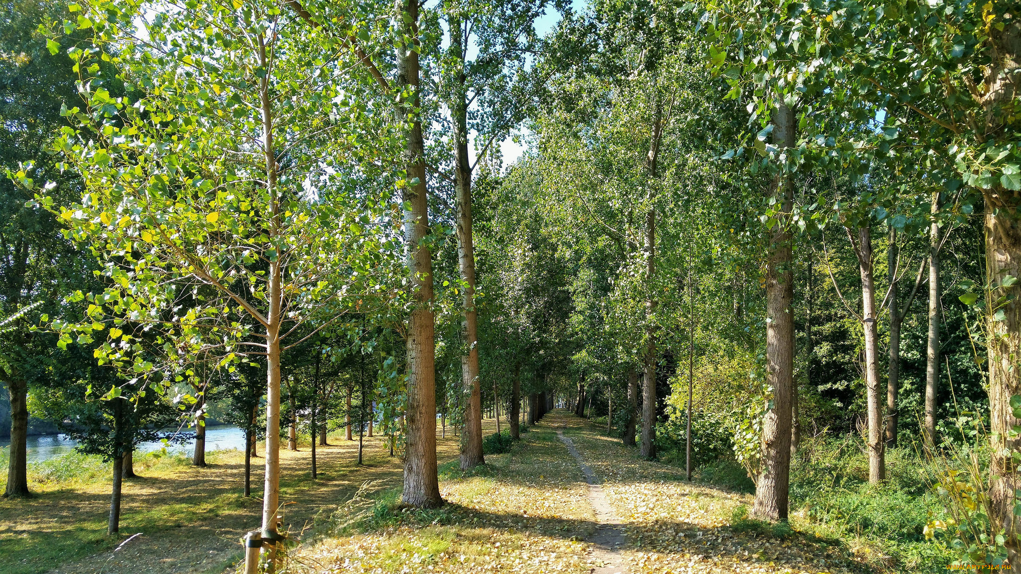 природа, дороги, тракт