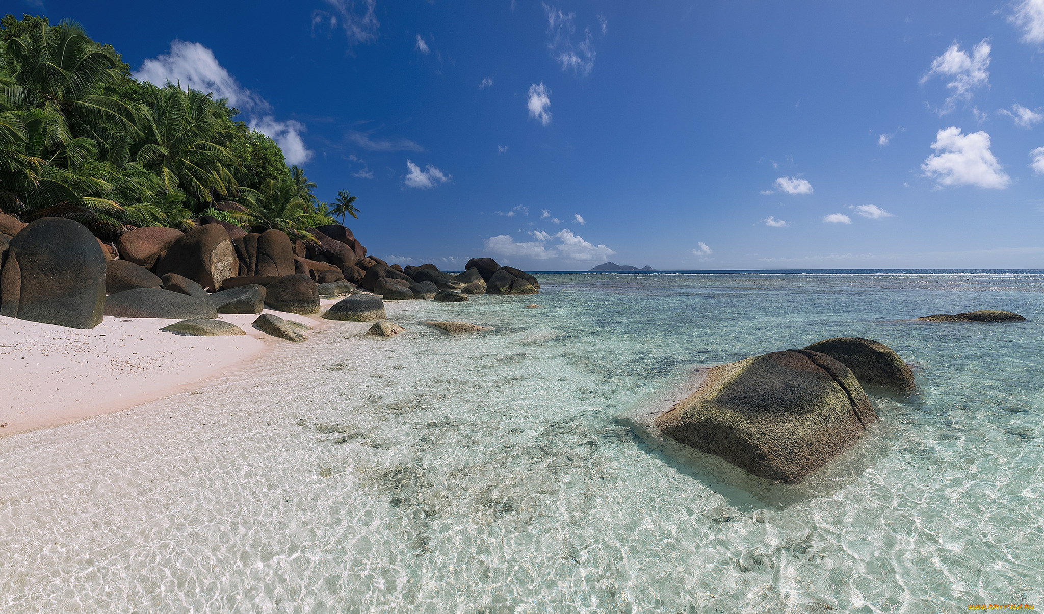 природа, тропики, курорт