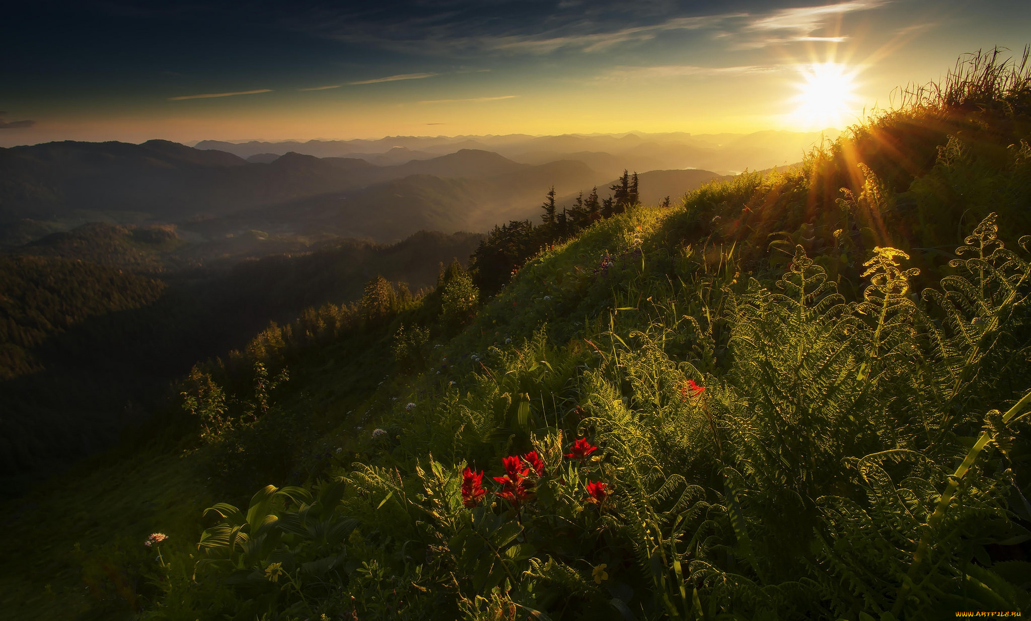 природа, восходы, закаты, рассвет