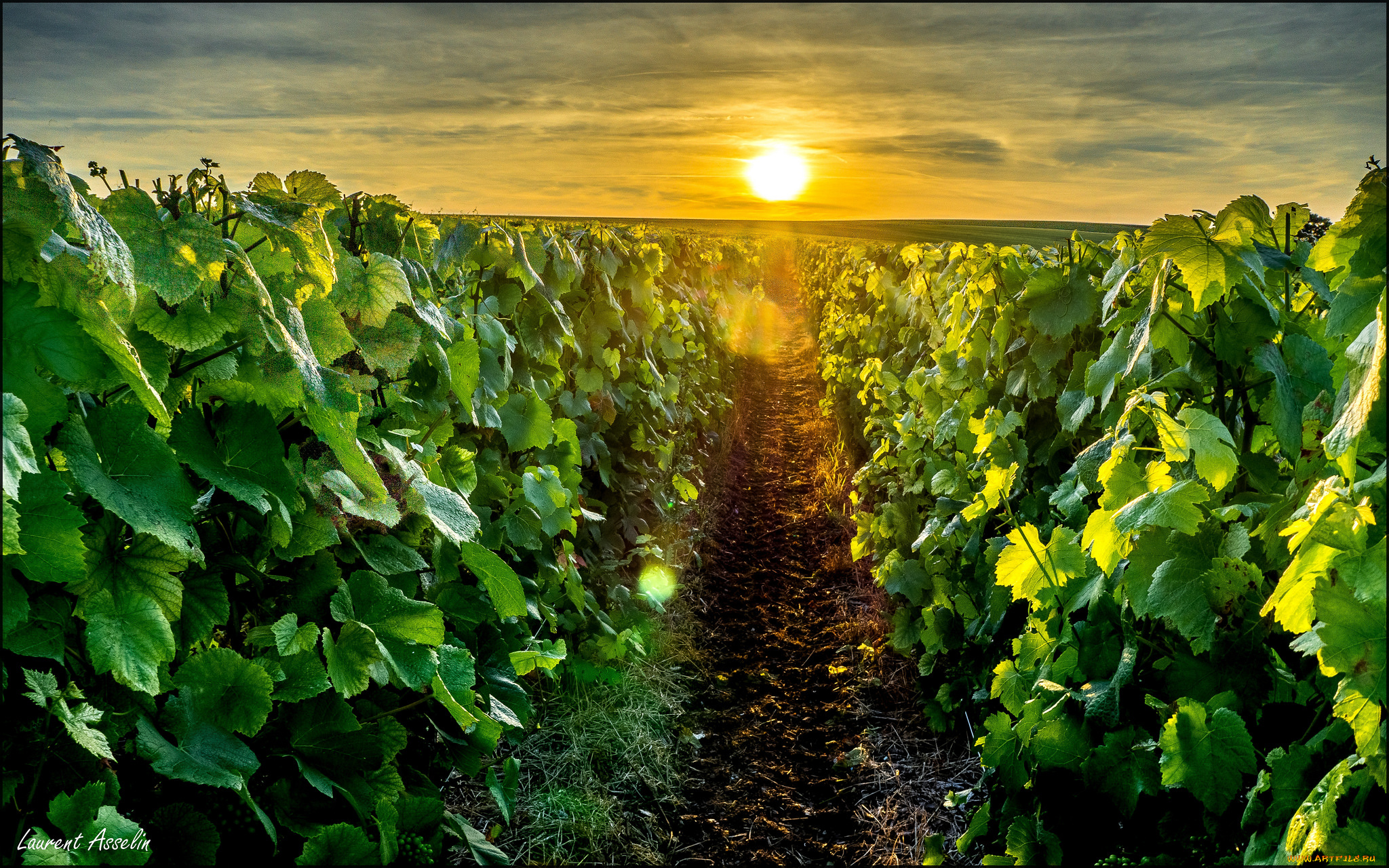 природа, восходы, закаты, рассвет