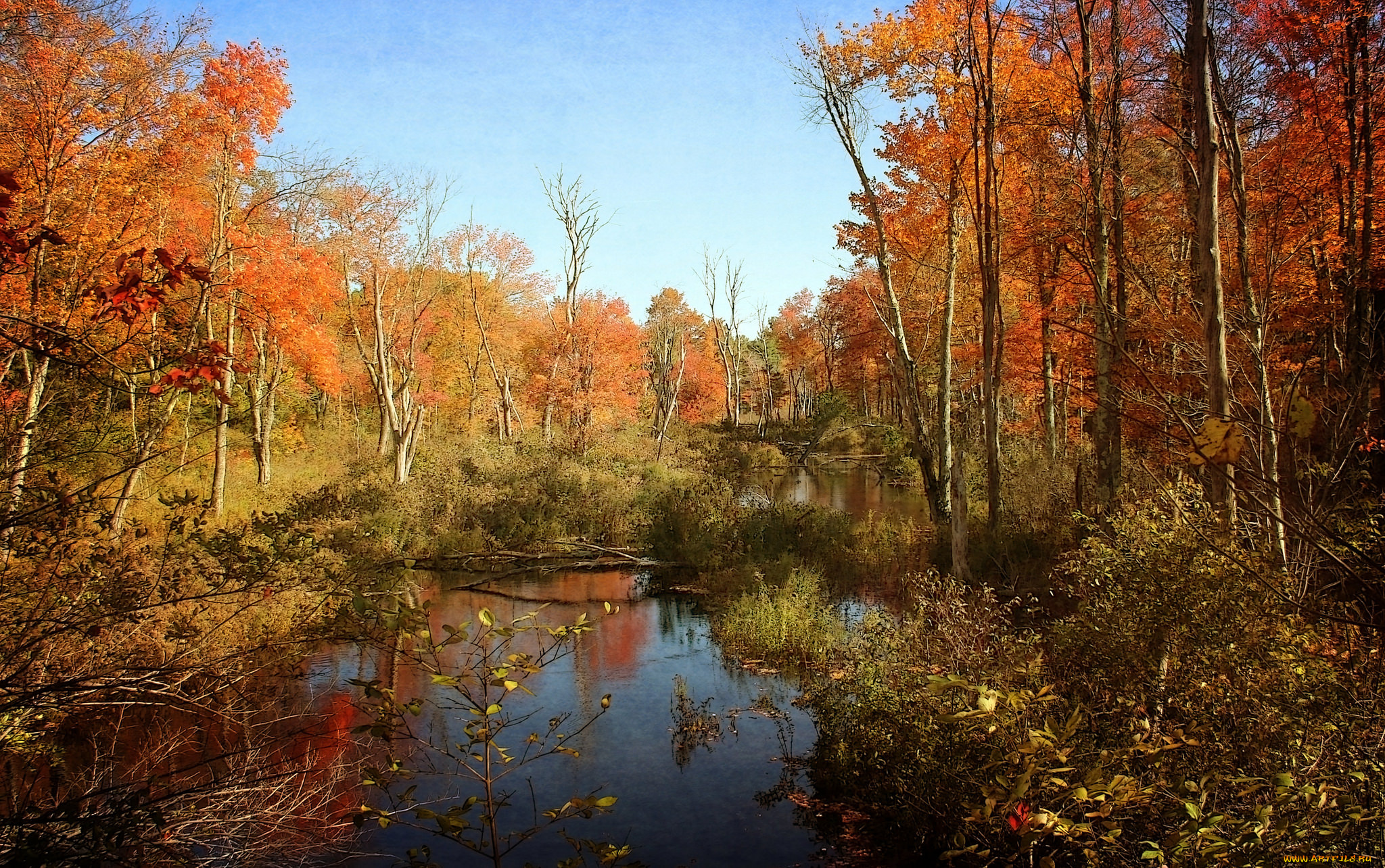 природа, реки, озера, деревья