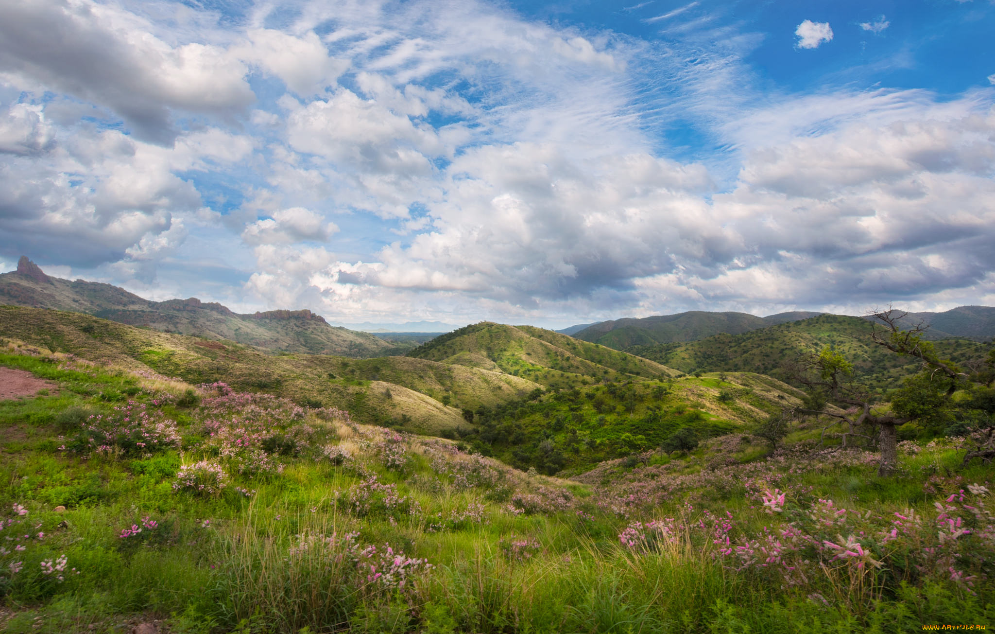 природа, пейзажи, простор