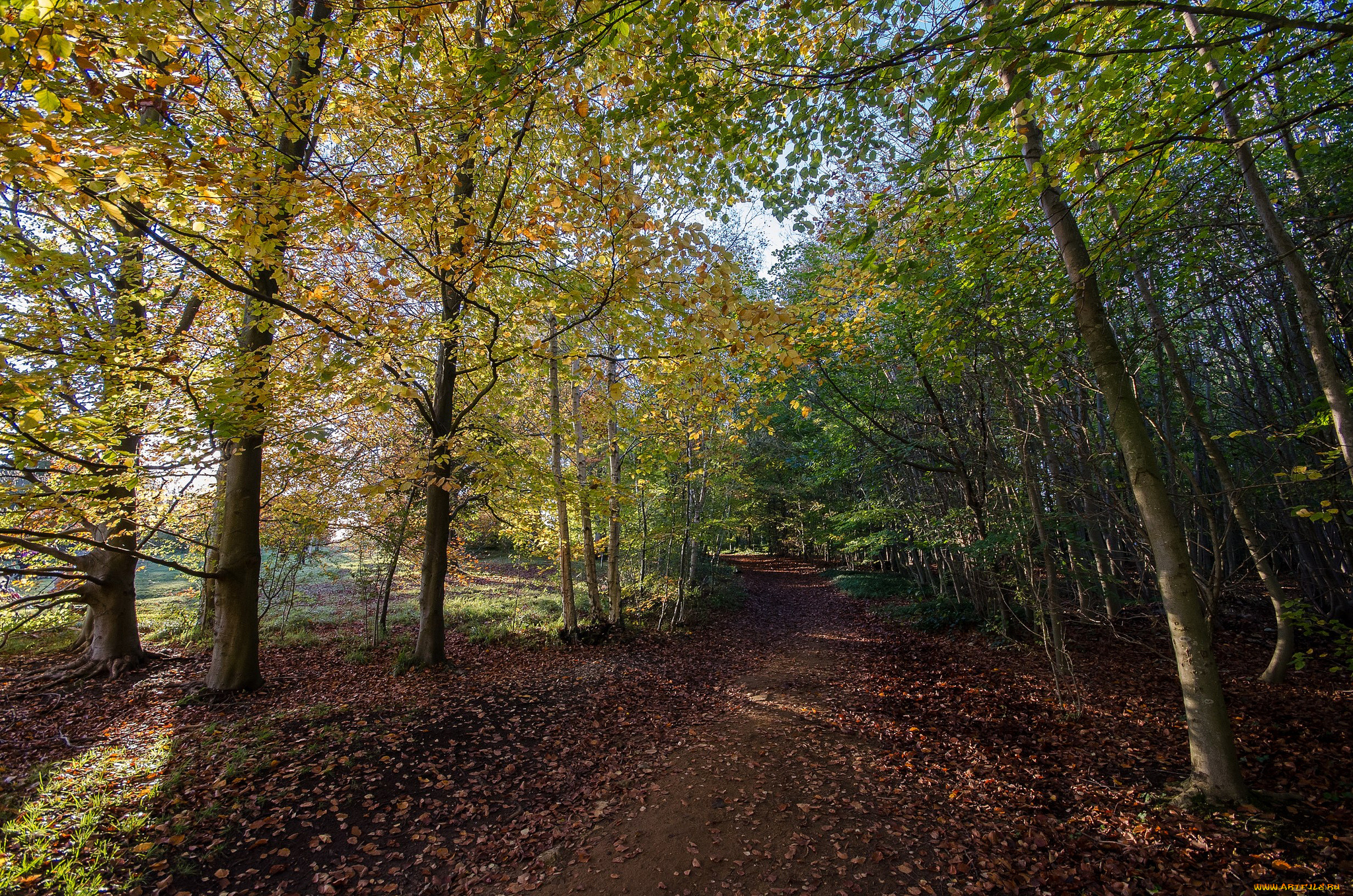 природа, дороги, тракт