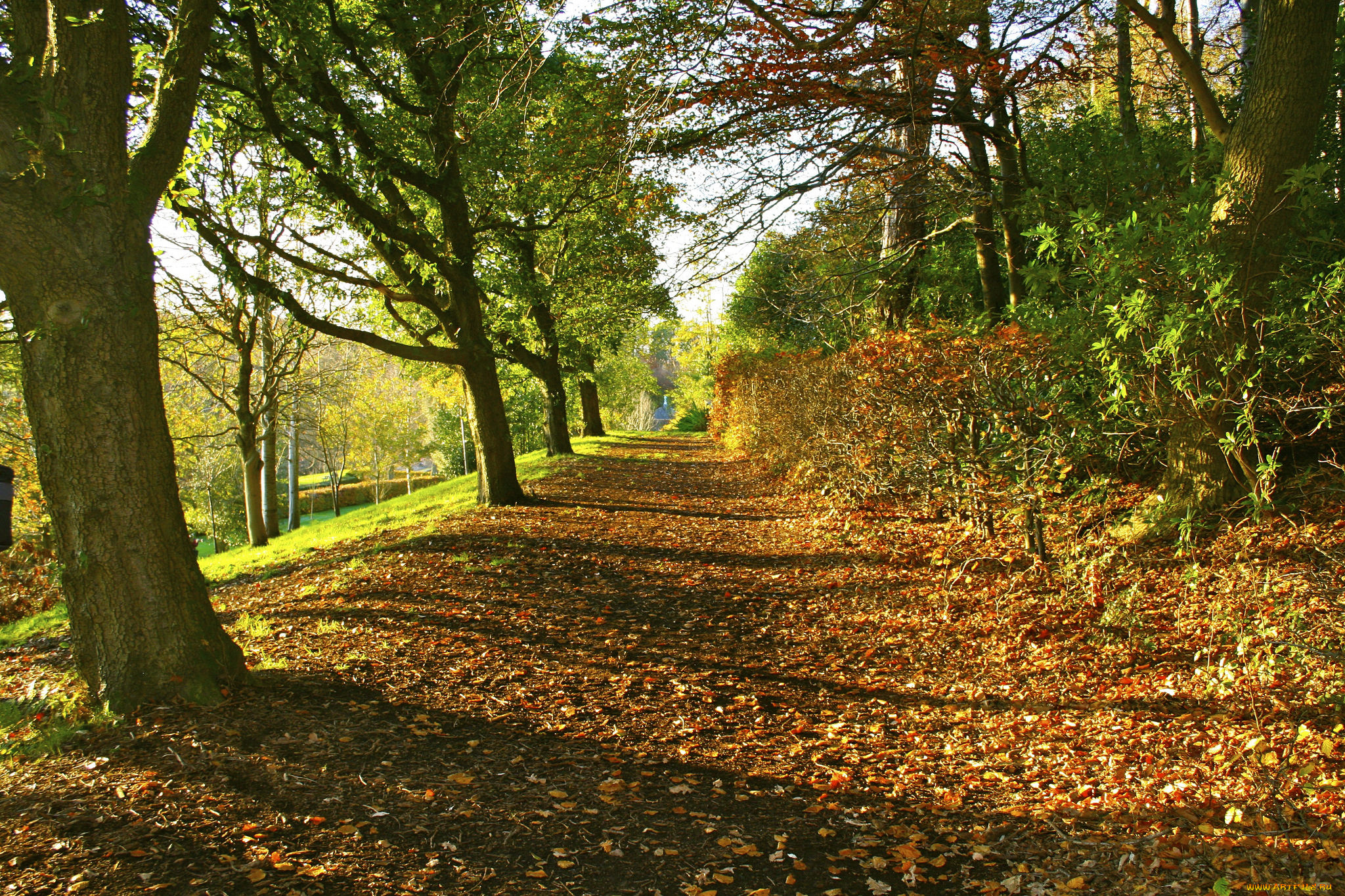 природа, дороги, тракт