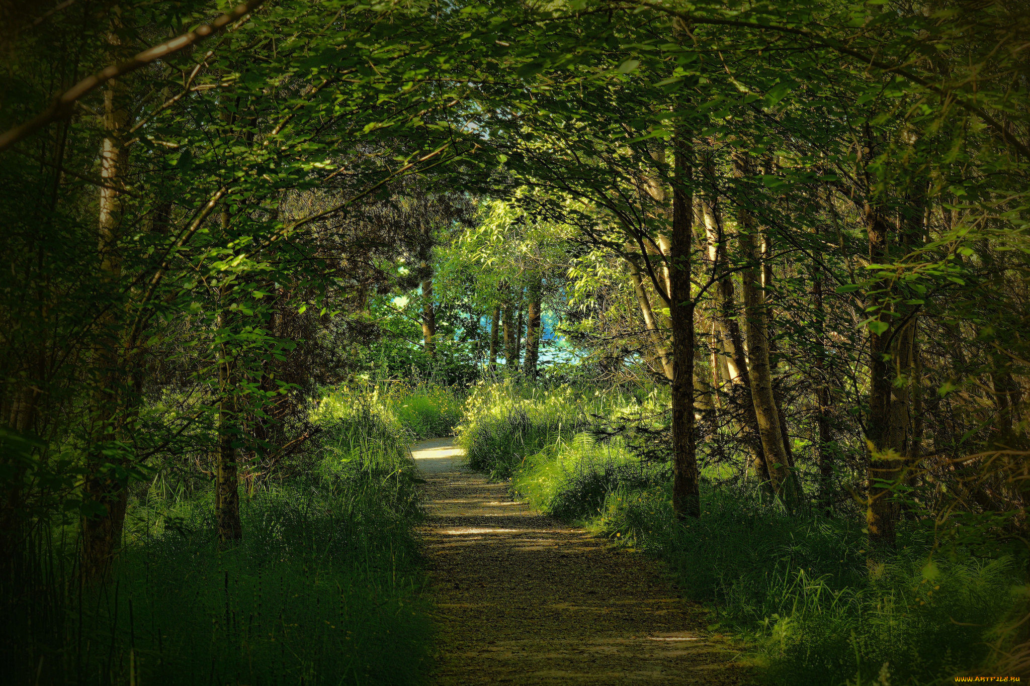природа, дороги, тракт