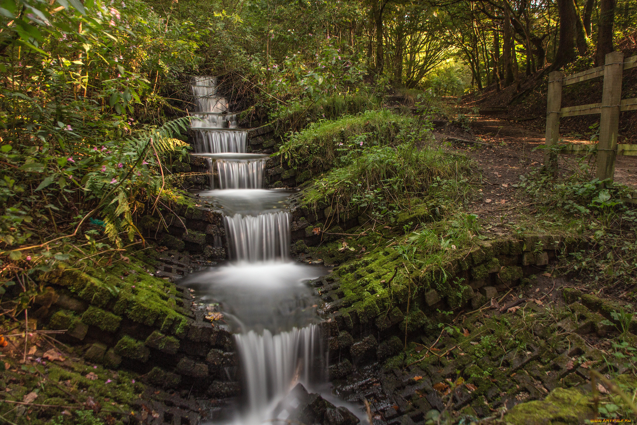 природа, водопады, водопад, река, лес