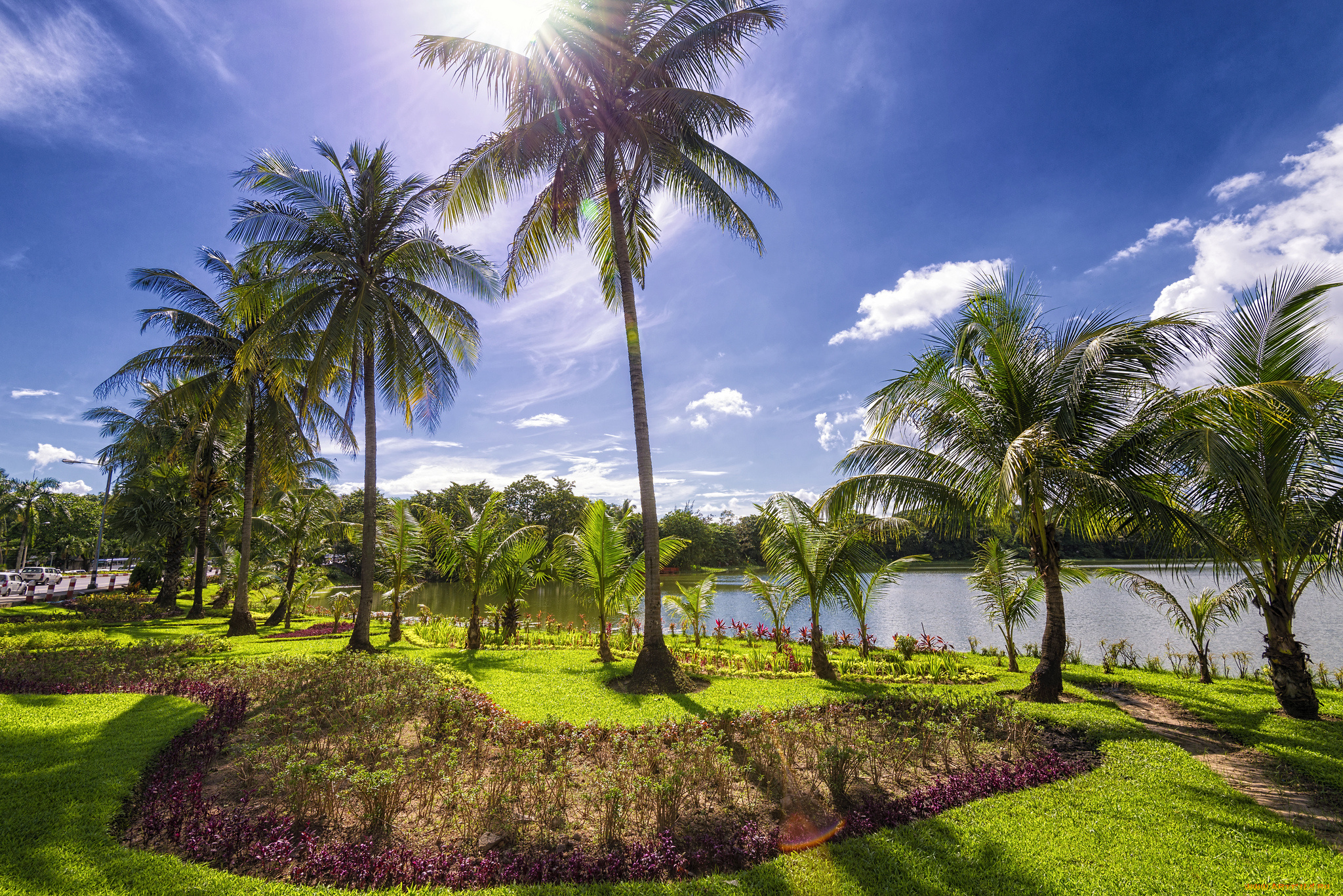 природа, тропики, курорт