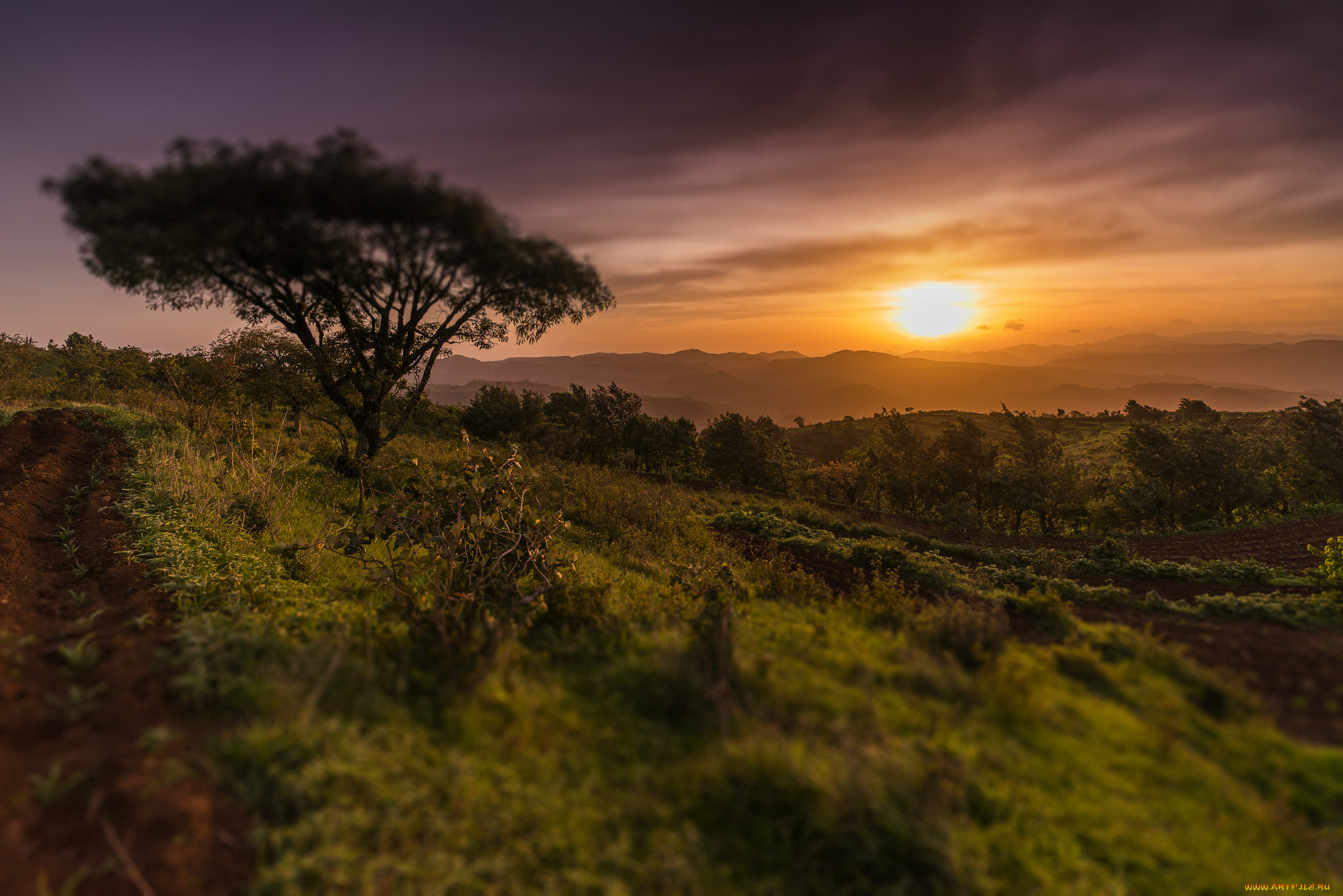 природа, восходы, закаты, рассвет