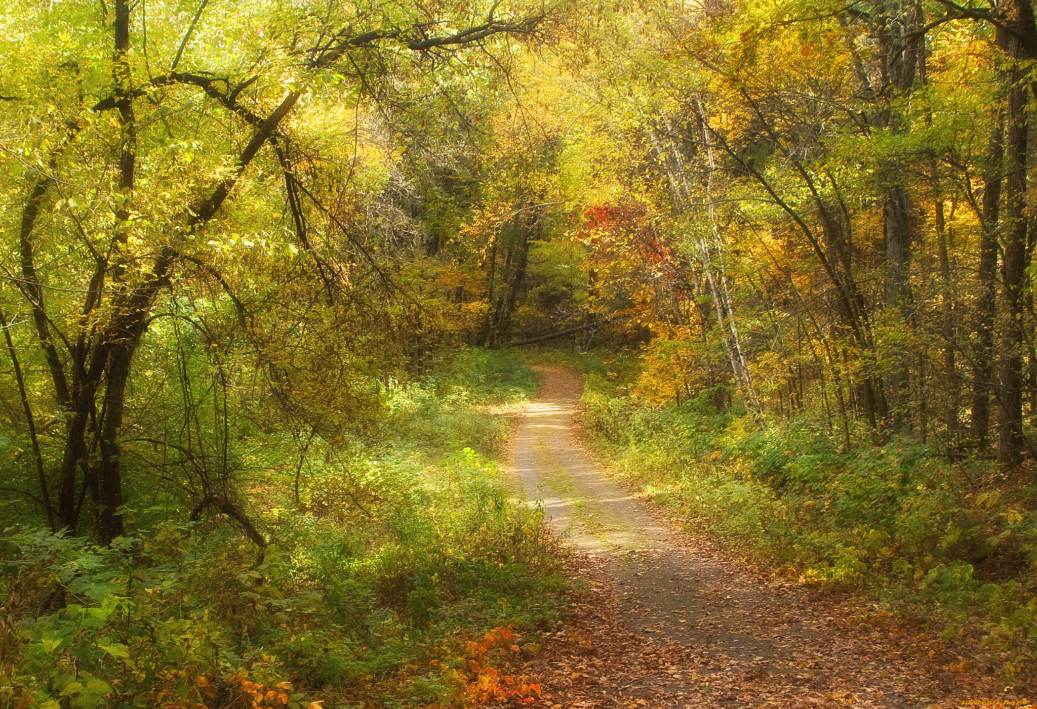 природа, дороги, тракт