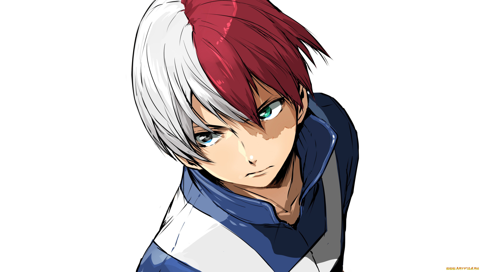 аниме, boku, no, hero, academia, тодороки