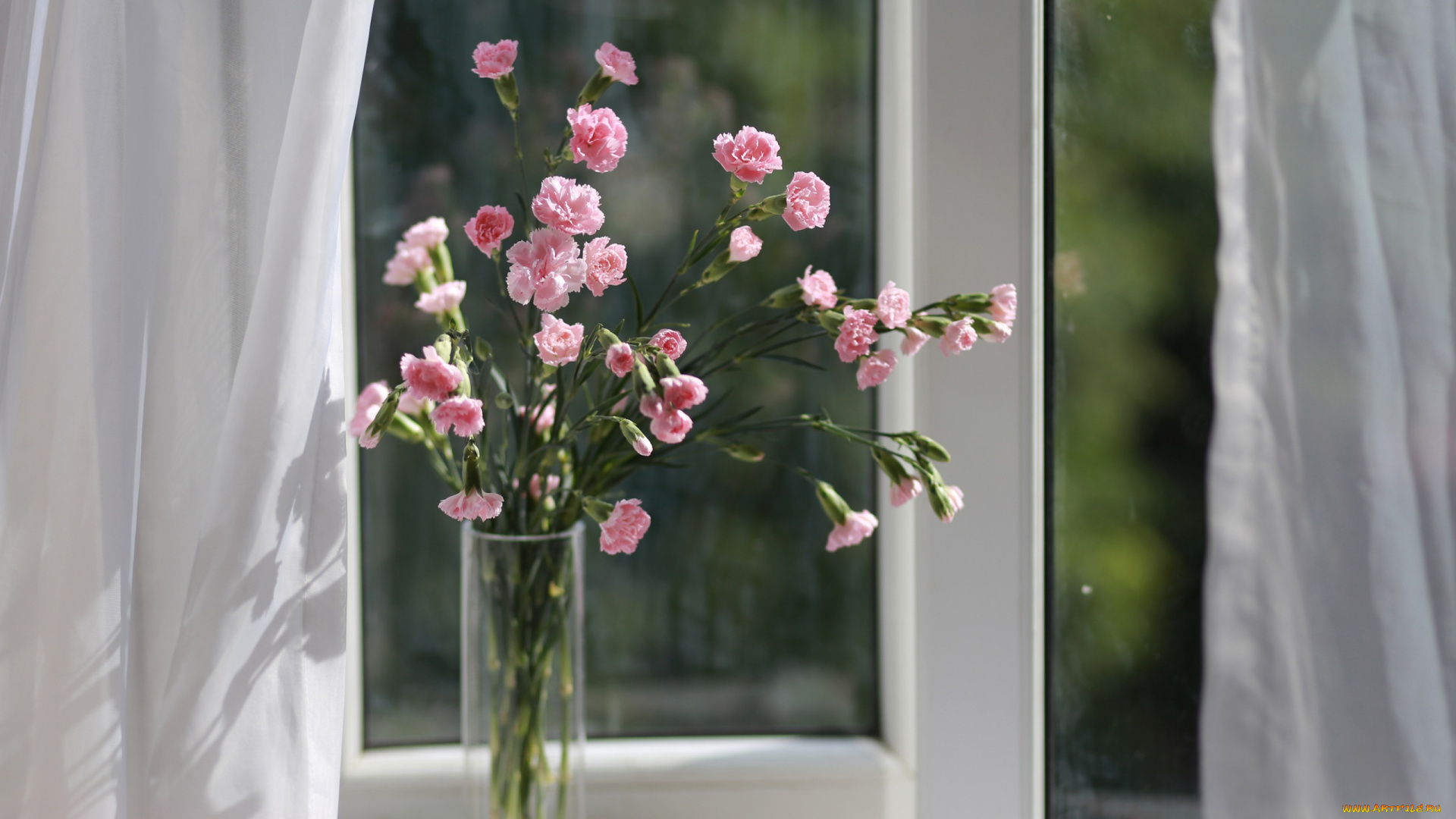 цветы, гвоздики, ваза, окно, букет