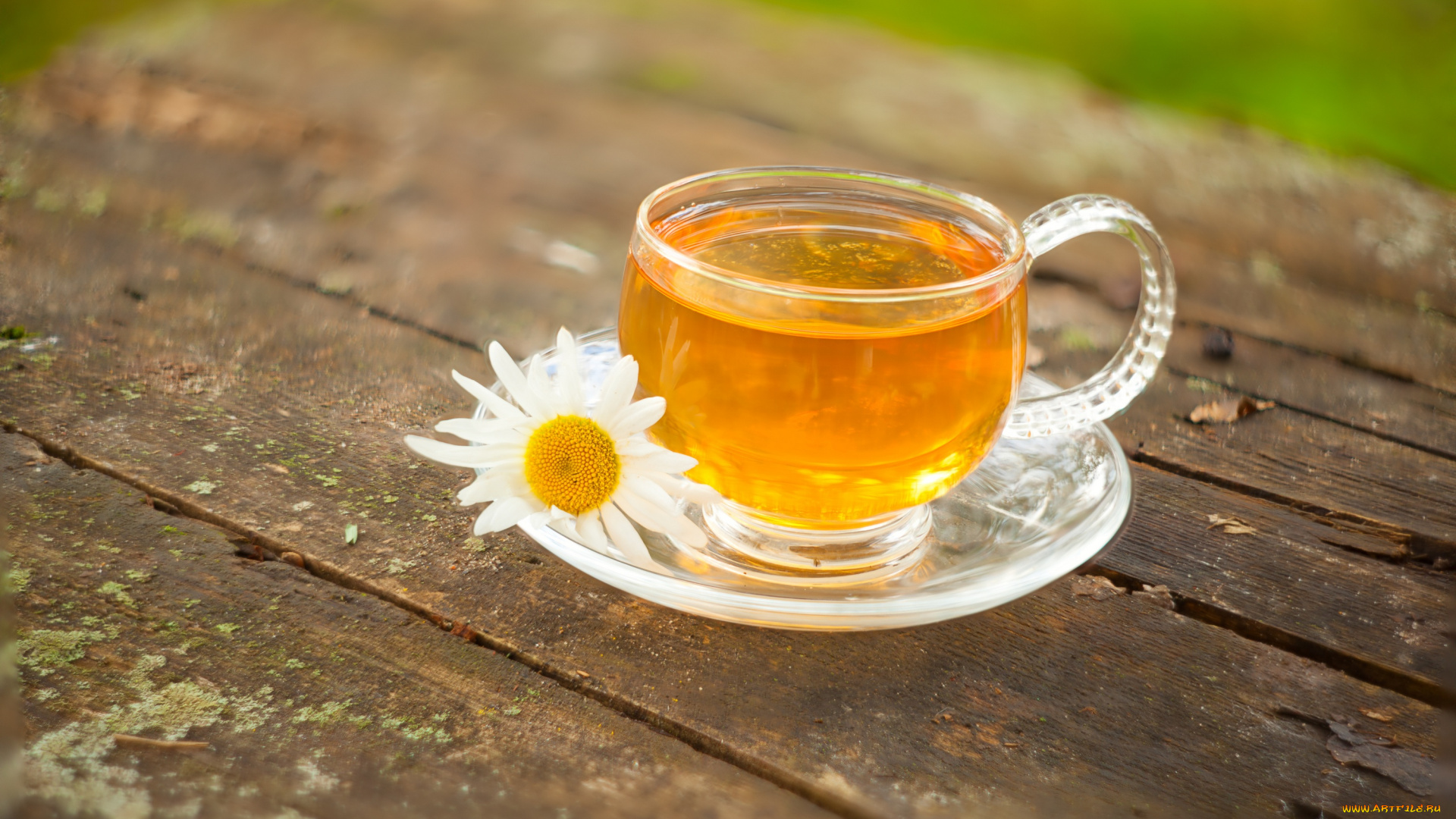 еда, напитки, , Чай, напиток, чай, зеленый, цветы