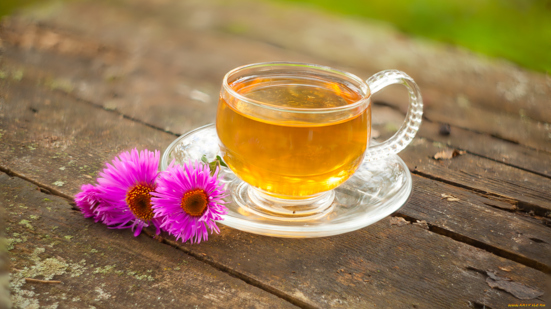 еда, напитки, , Чай, напиток, чай, зеленый, цветы