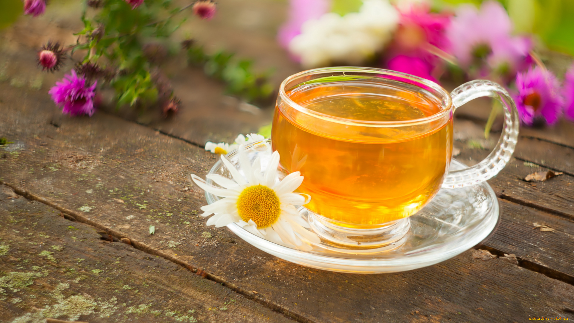 еда, напитки, , Чай, напиток, чай, зеленый, цветы