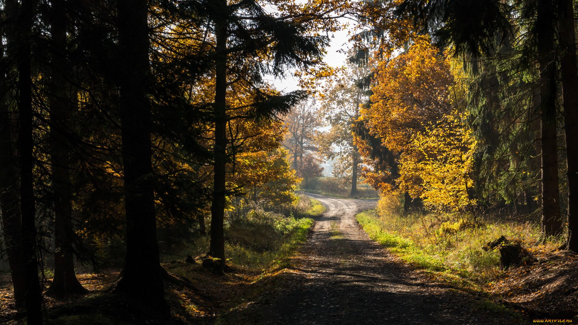 природа, дороги, простор