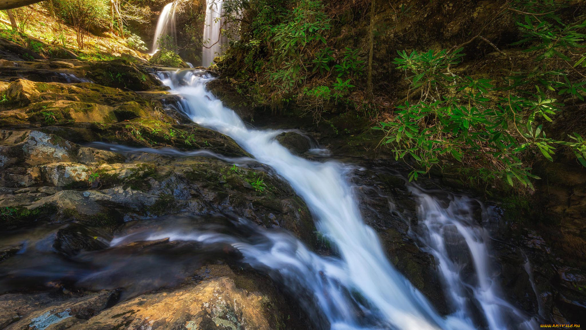 природа, реки, озера, простор