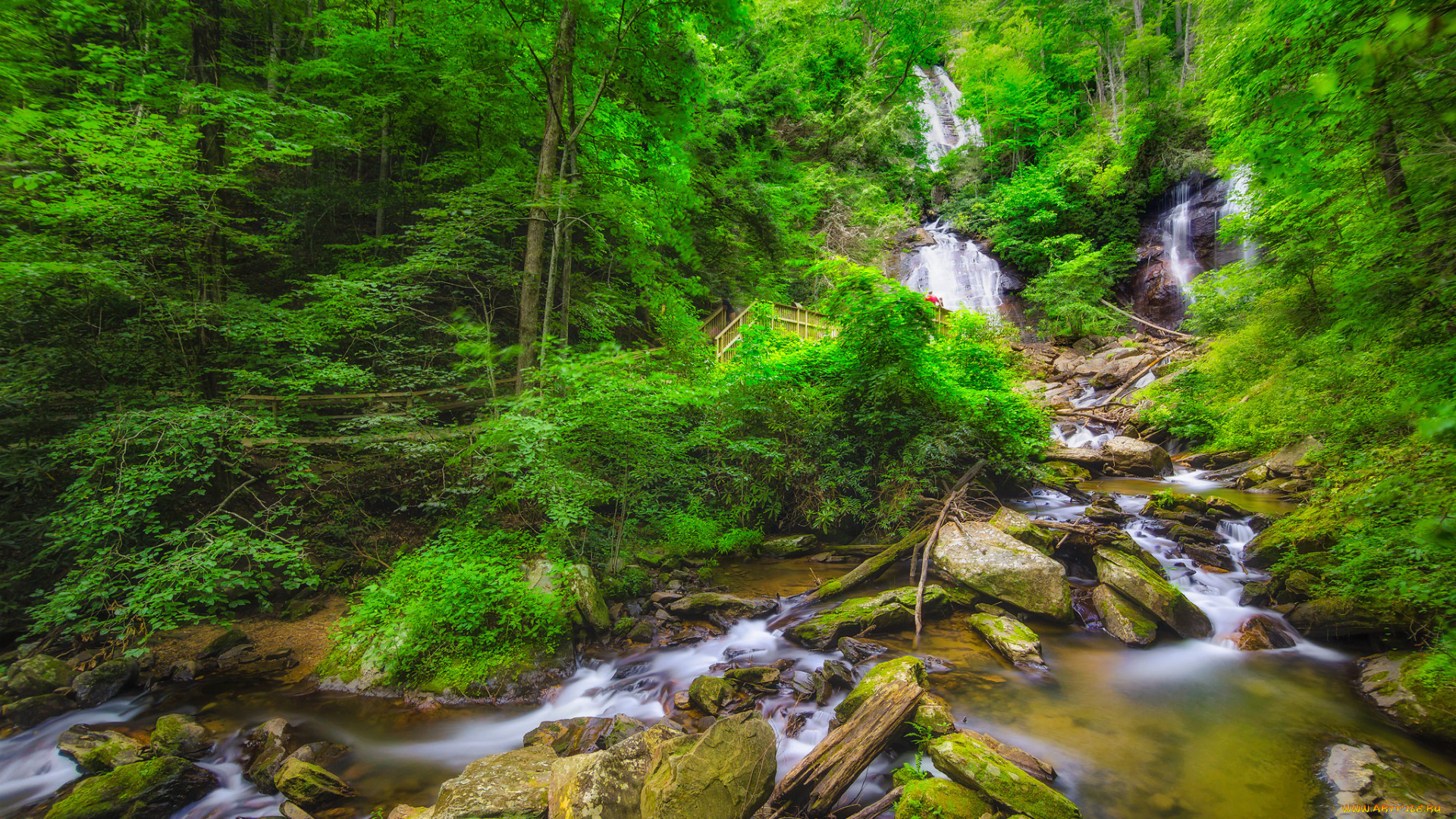 природа, реки, озера, простор