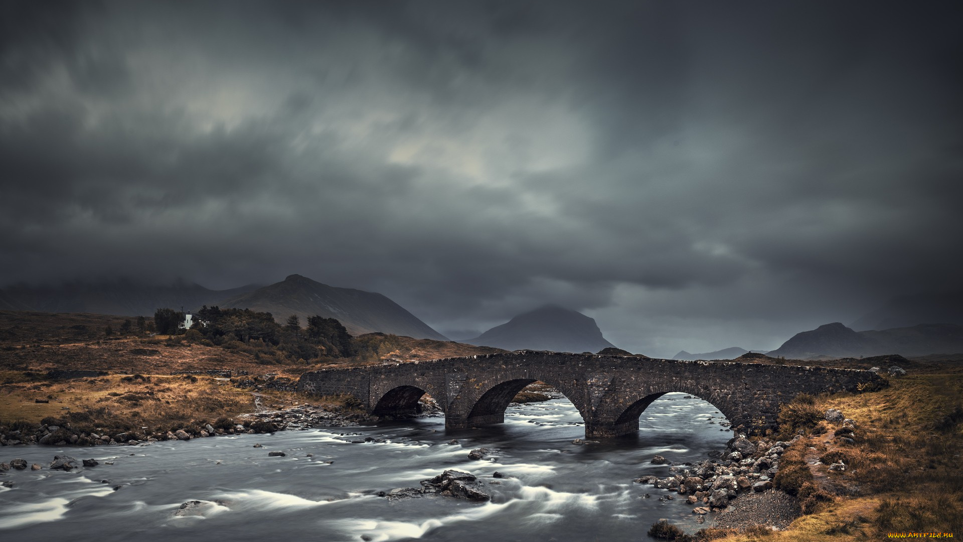 природа, реки, озера, река, мост