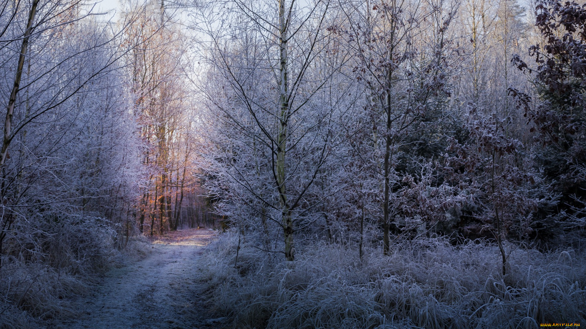 природа, зима, простор