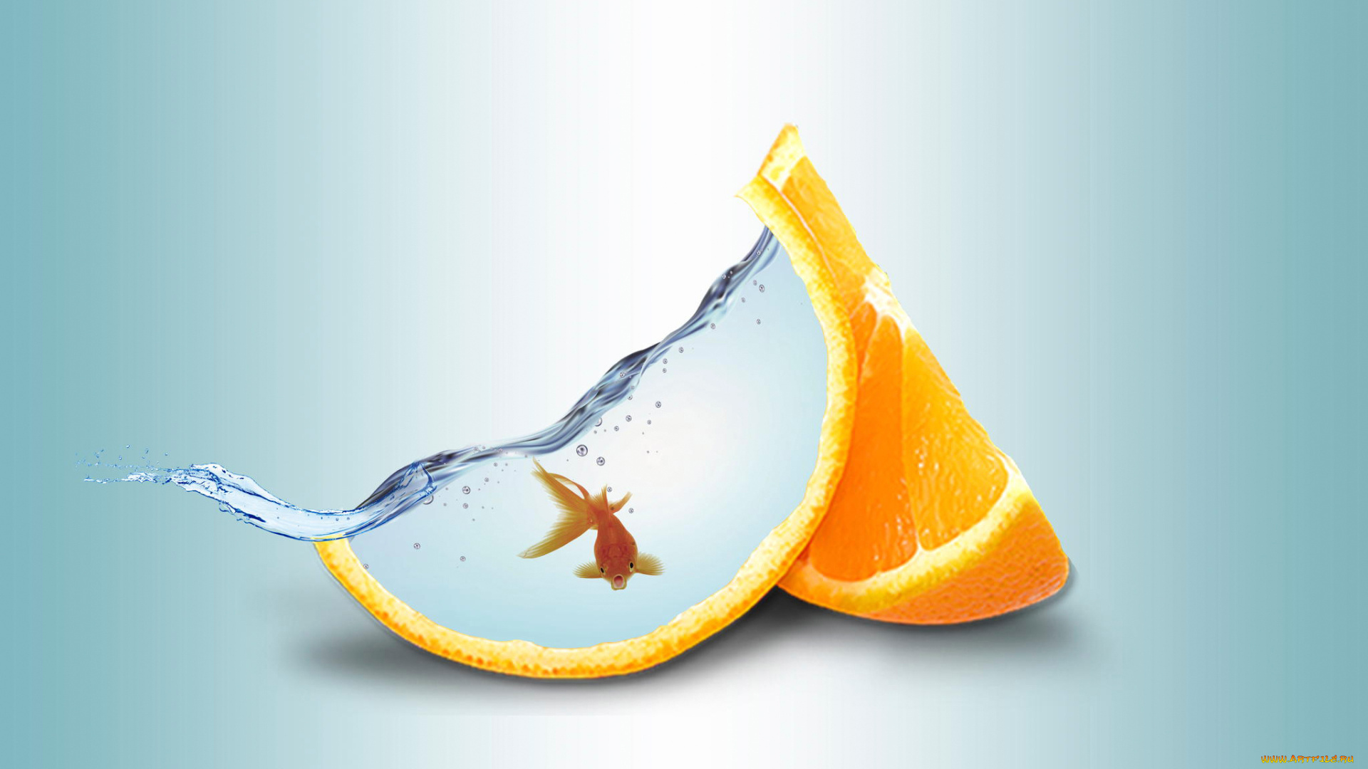 разное, компьютерный, дизайн, вода, апельсин, золотая, рыбка