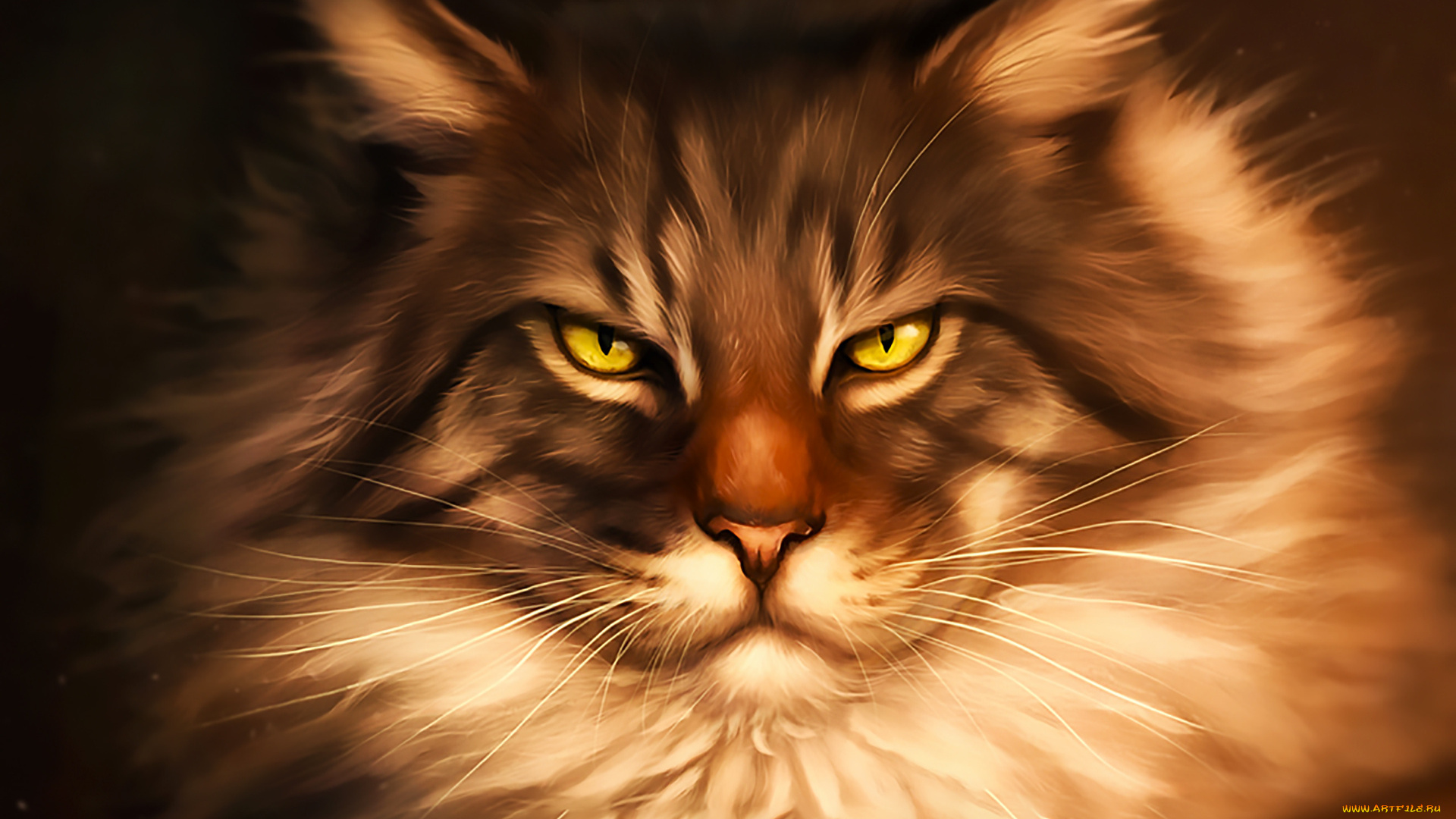 рисованное, животные, , коты, взгляд