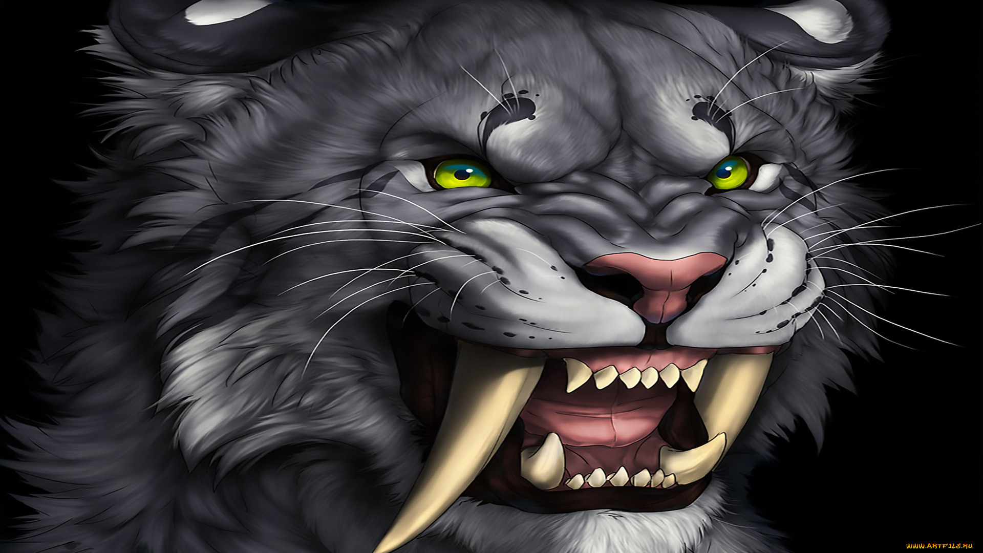 рисованное, животные, , тигры, взгляд