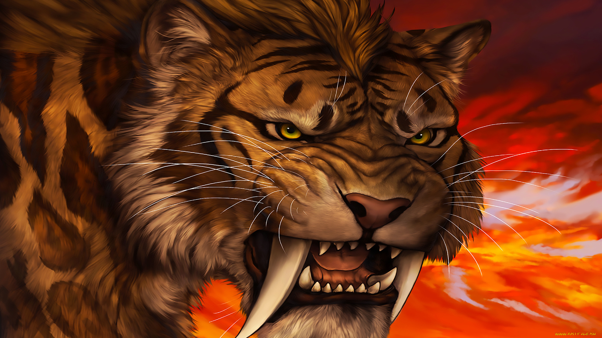 рисованное, животные, , тигры, взгляд