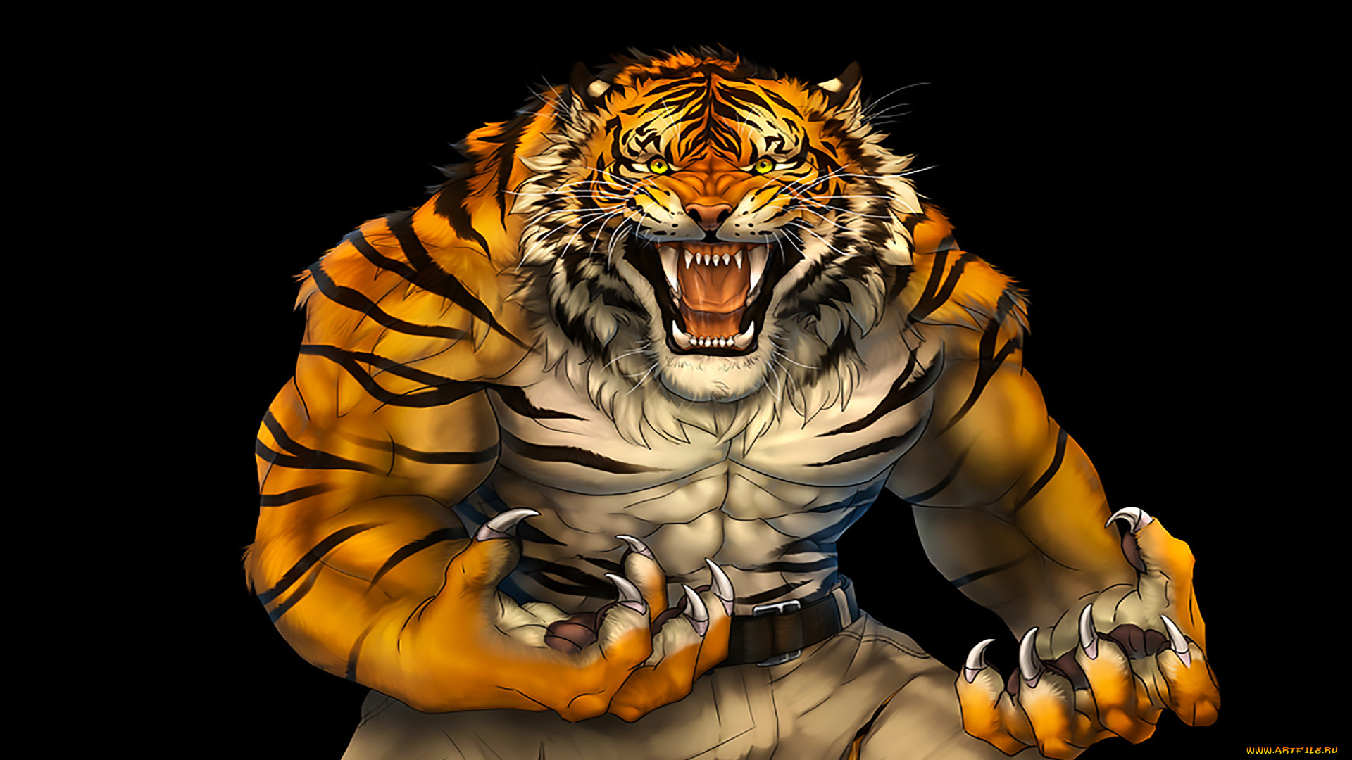 рисованное, животные, , тигры, взгляд