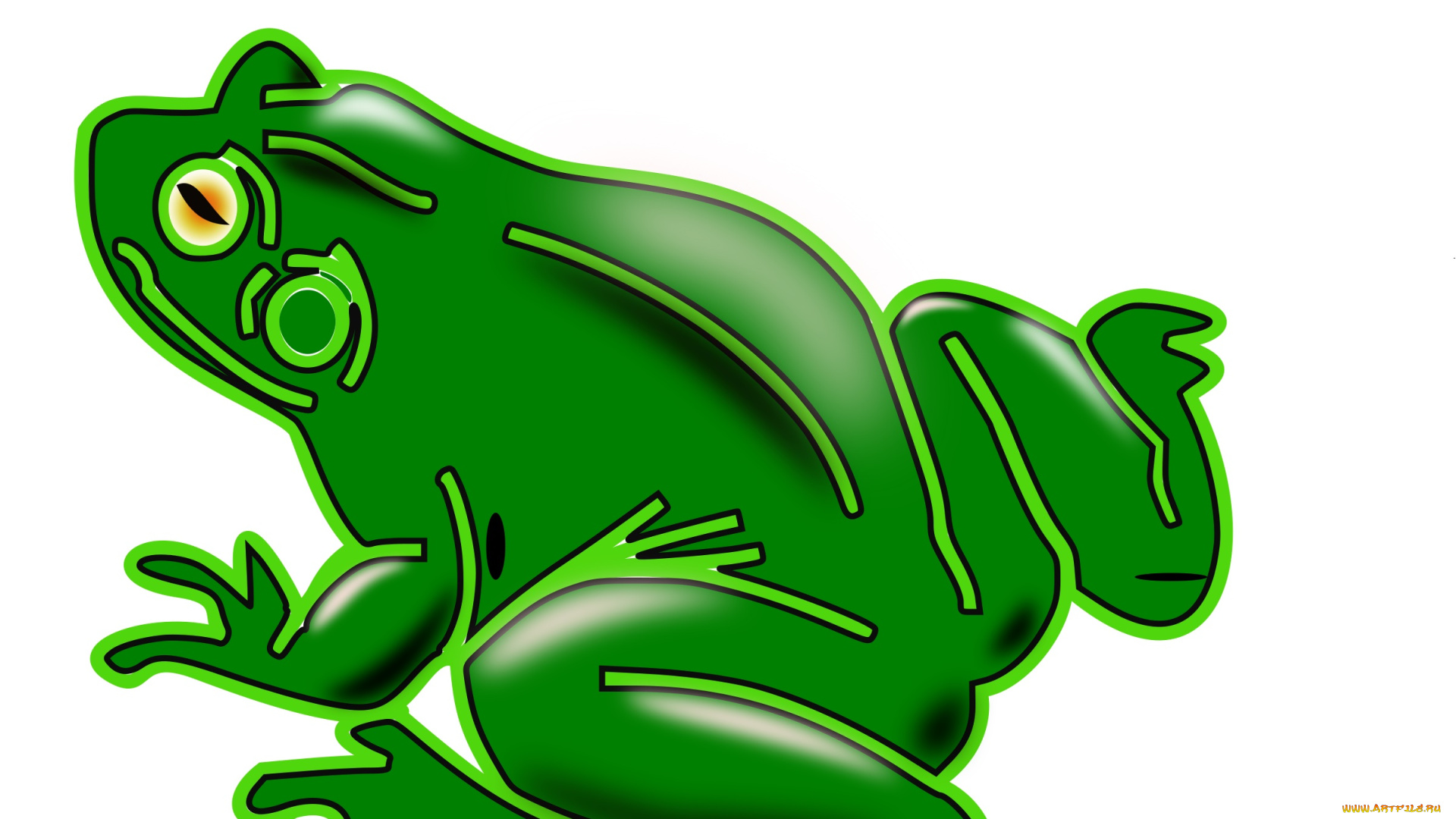 векторная, графика, животные, , animals, лягушка