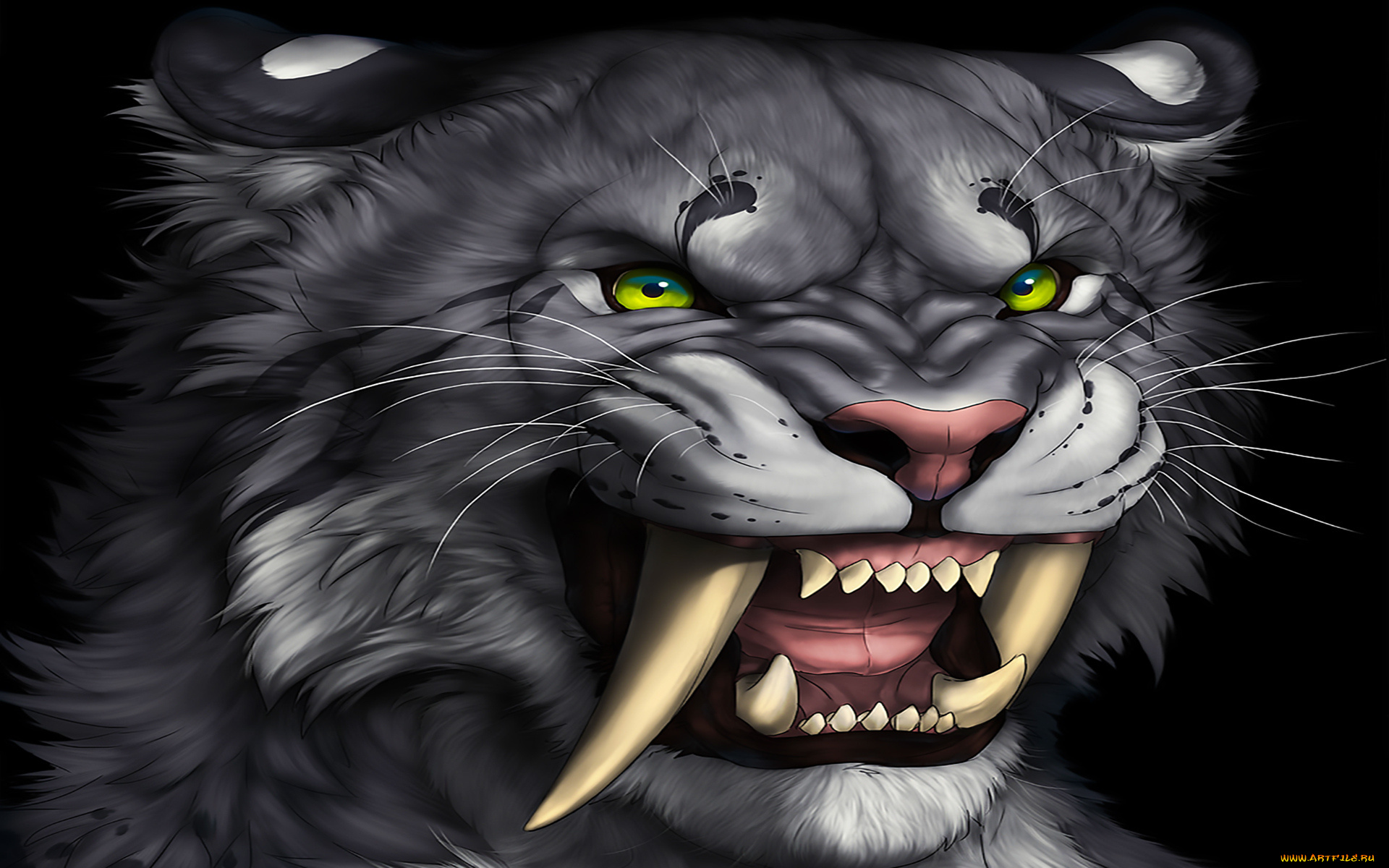 рисованное, животные, , тигры, взгляд