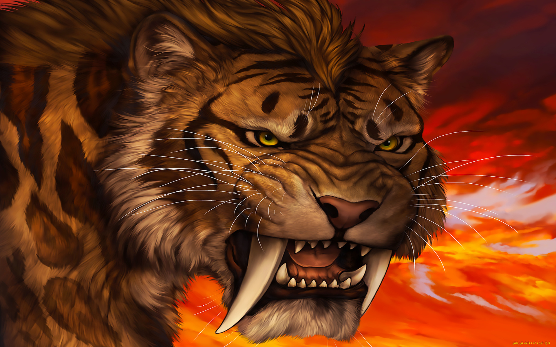 рисованное, животные, , тигры, взгляд