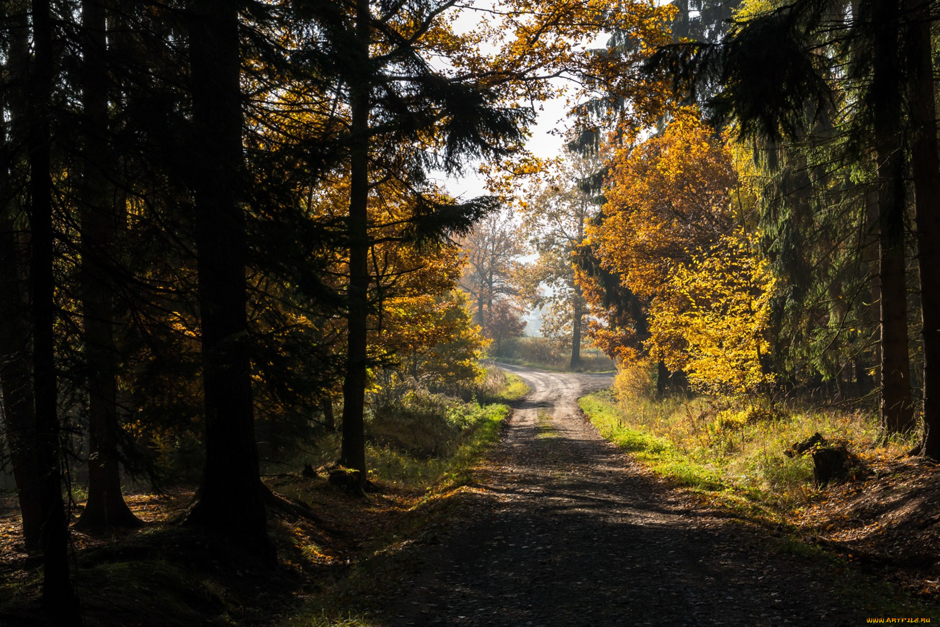 природа, дороги, простор