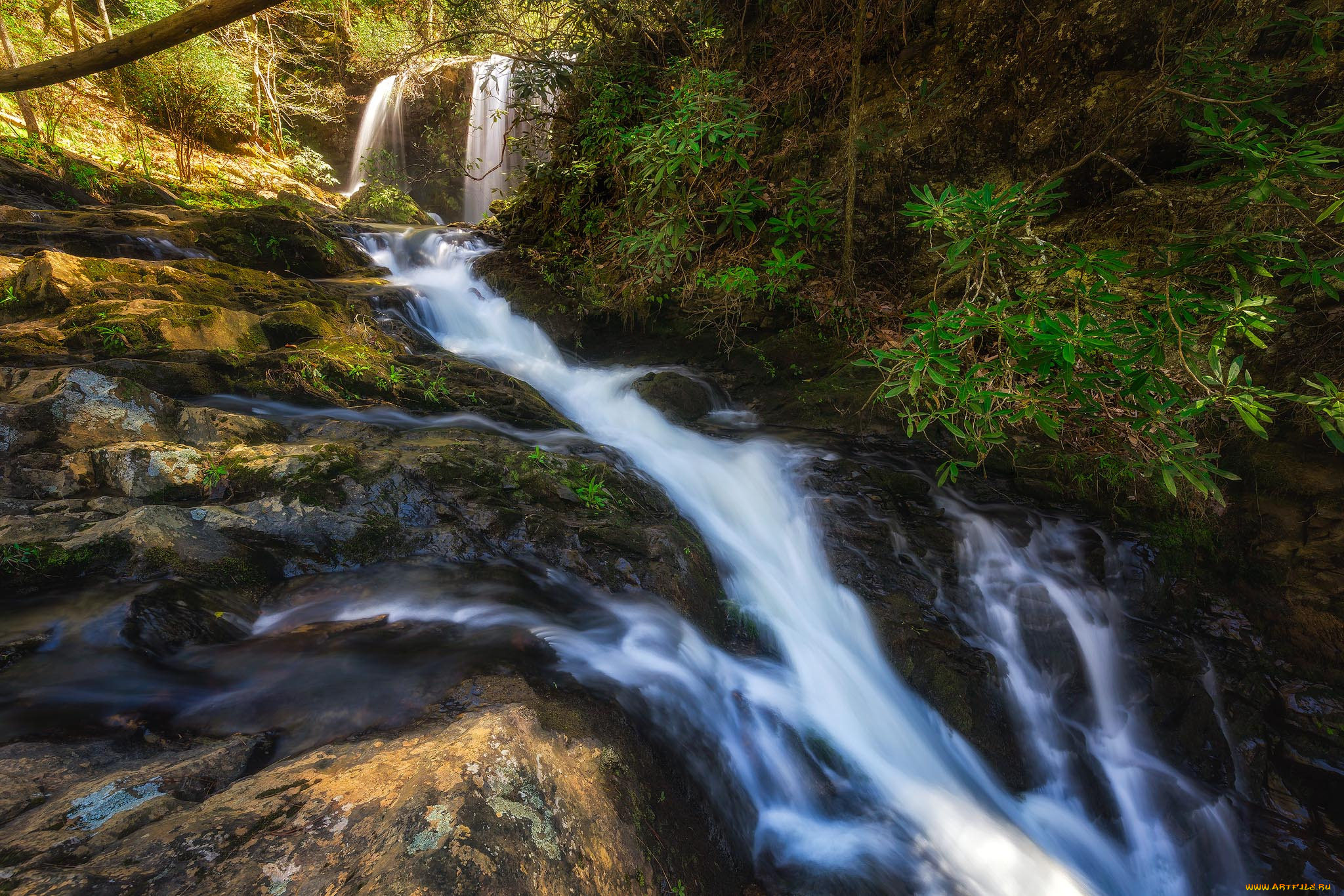 природа, реки, озера, простор