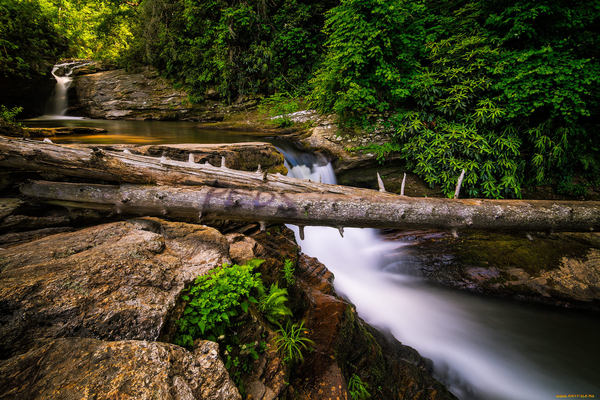 природа, реки, озера, простор