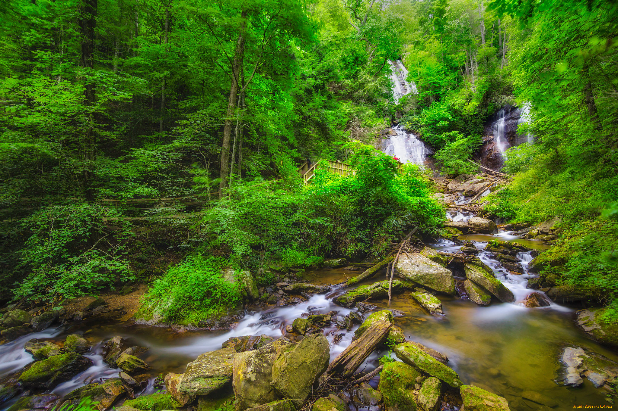 природа, реки, озера, простор