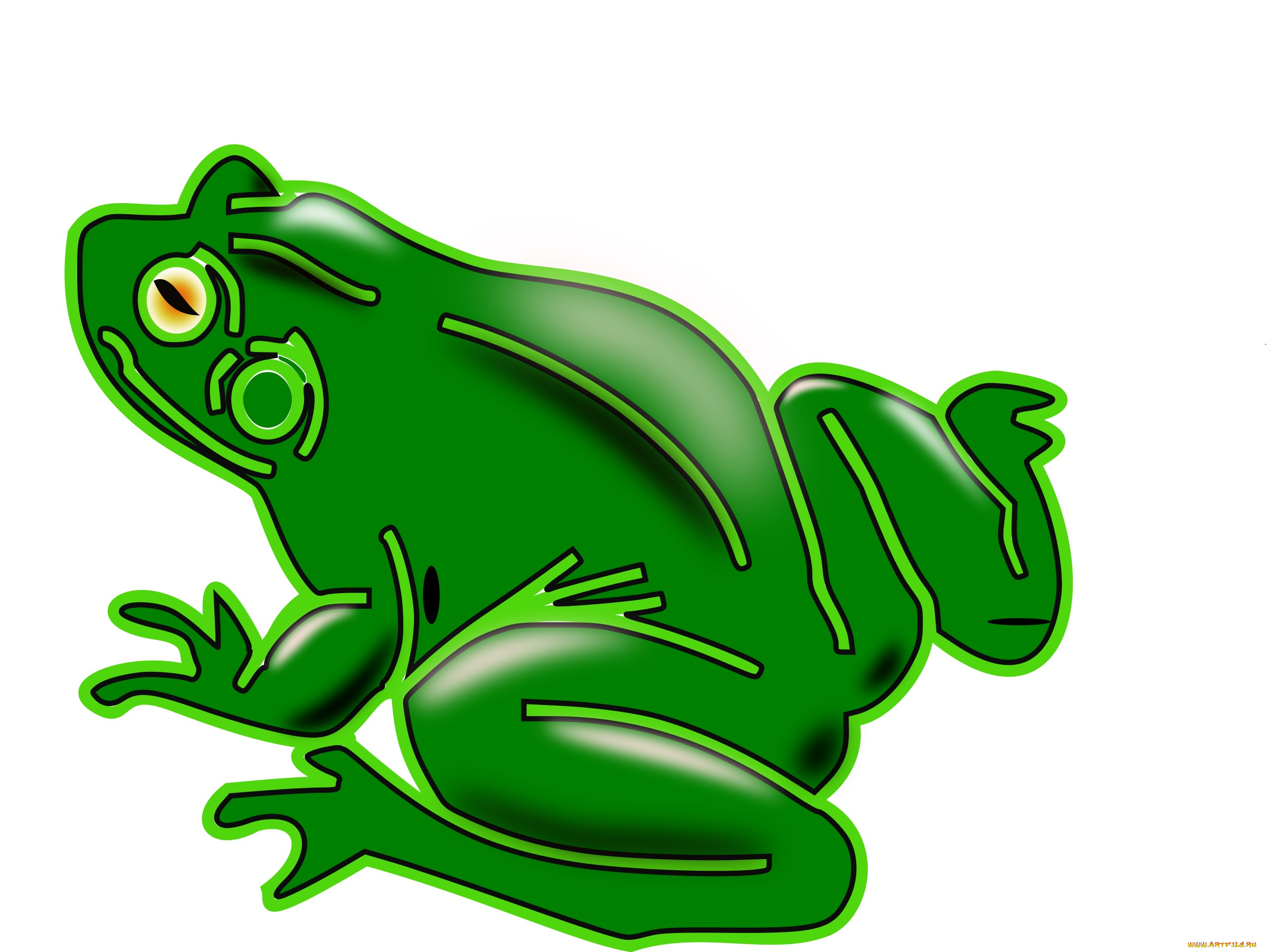 векторная, графика, животные, , animals, лягушка