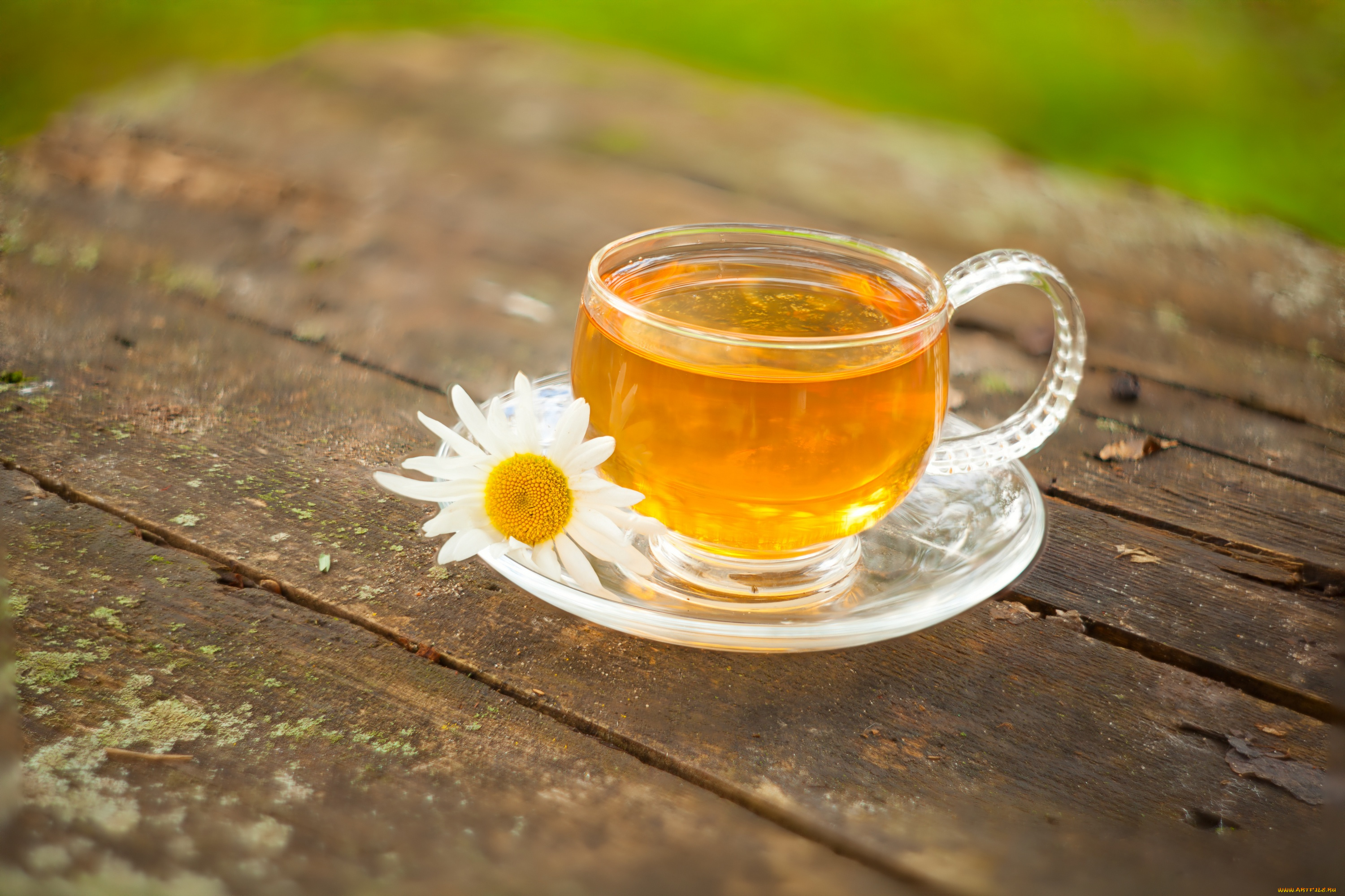 еда, напитки, , Чай, напиток, чай, зеленый, цветы