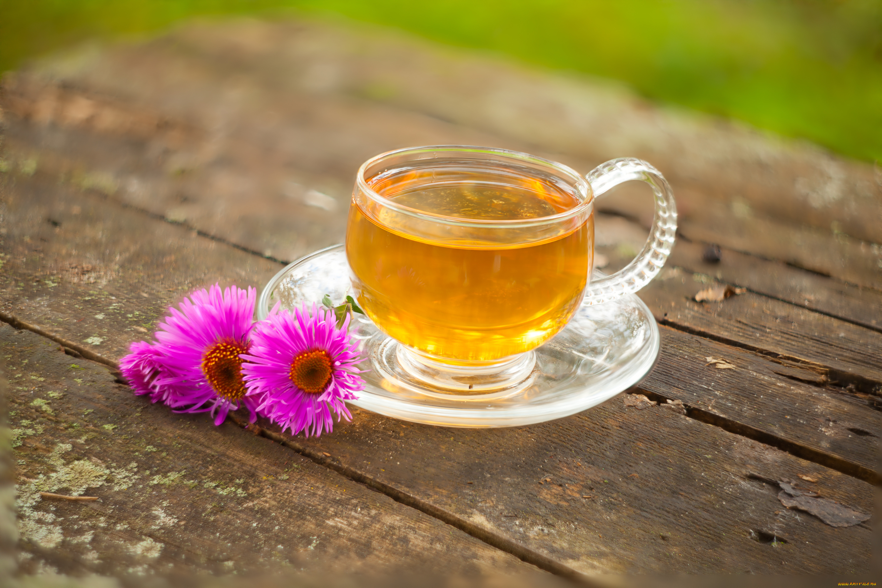 еда, напитки, , Чай, напиток, чай, зеленый, цветы