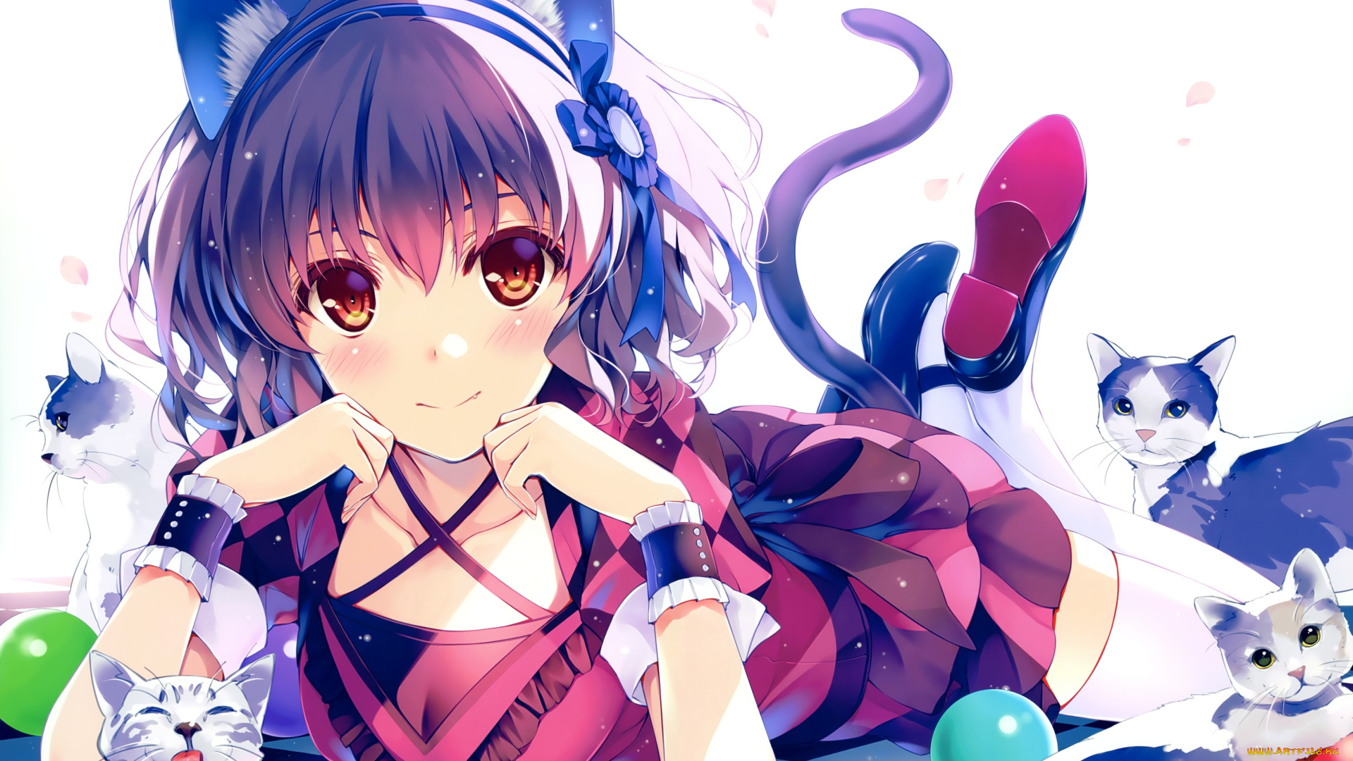 аниме, животные, , существа, кошки, девочка