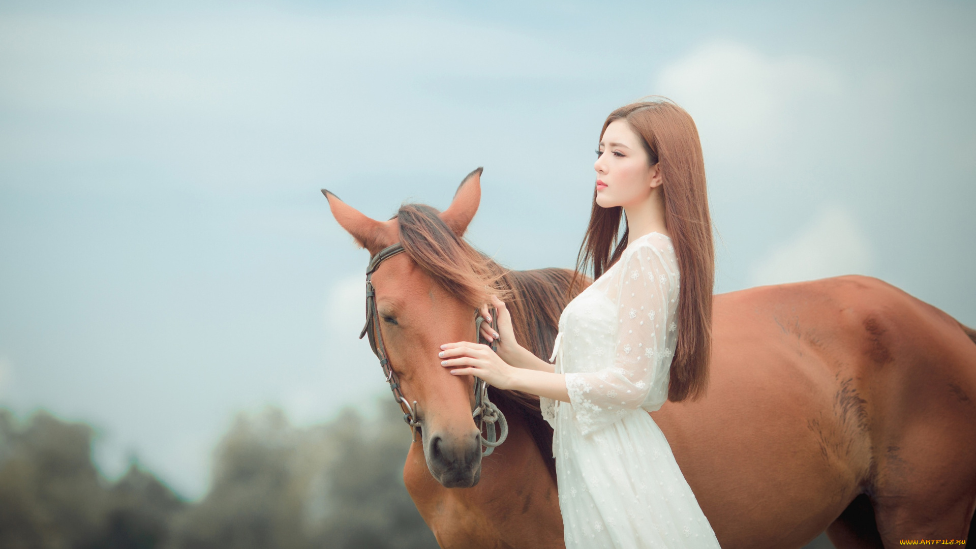 девушки, -unsort, , азиатки, изящная, длинноволосая, гнедой, вгляд, лицо, настроение, конь, лошадь, дружба, шатенка, азиатка, белое, платье, взгляд, морда, девушка, природа, небо
