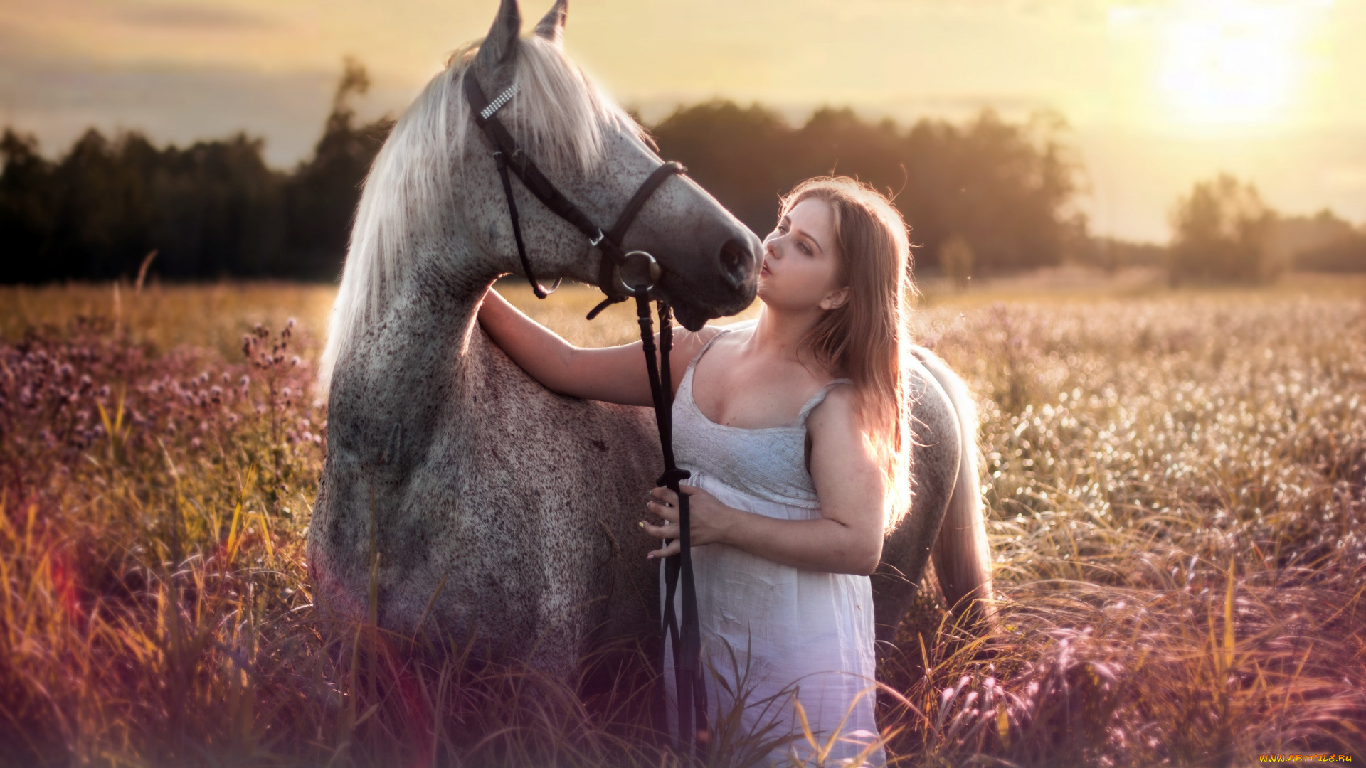 девушки, -unsort, , брюнетки, темноволосые, конь, девушка, лето