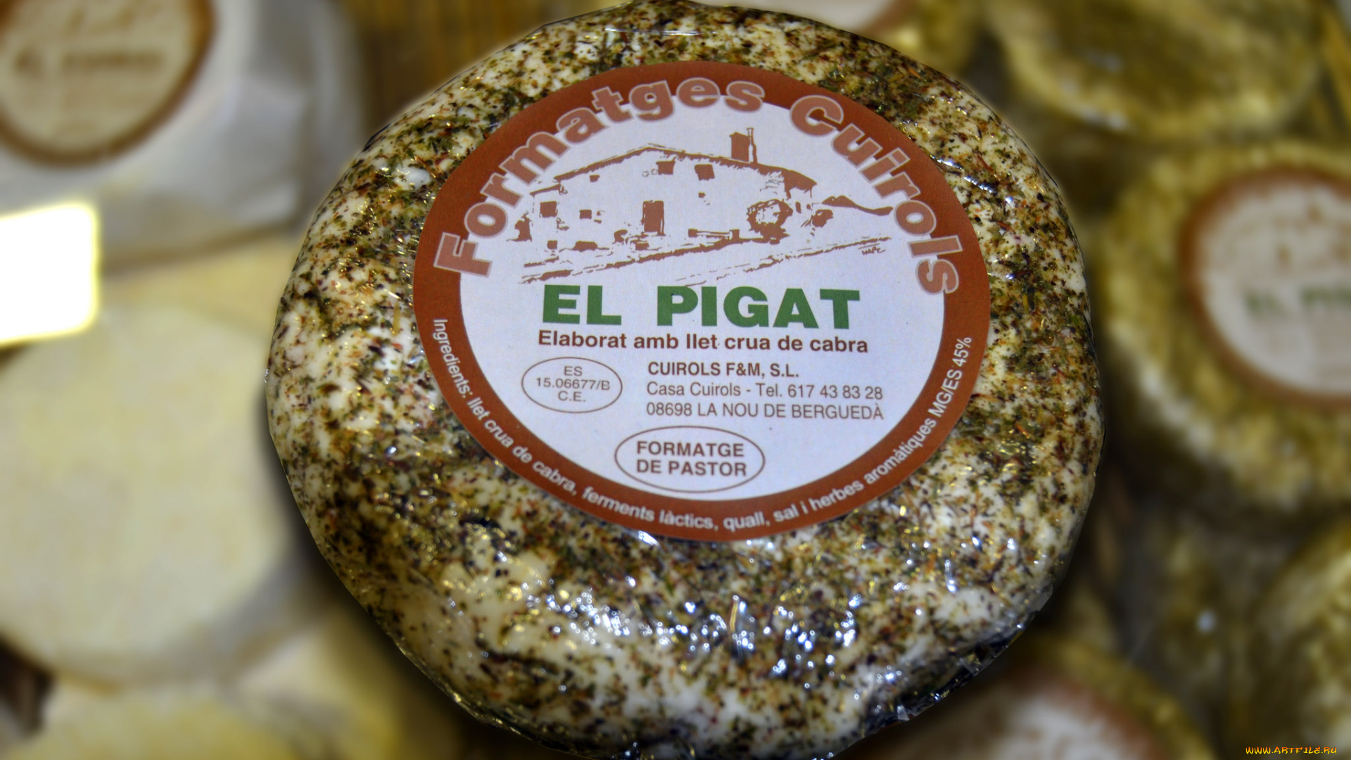 еда, сырные, изделия, сыр